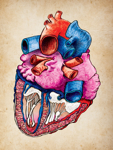 Roylco, Notes by Heart, notepad illustration (posterior). Media: 60lb paper, graphite, ink, Adobe Photoshop. 2018