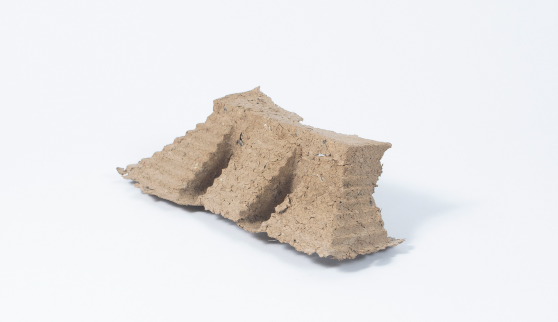Moulded cardboard pulp half model