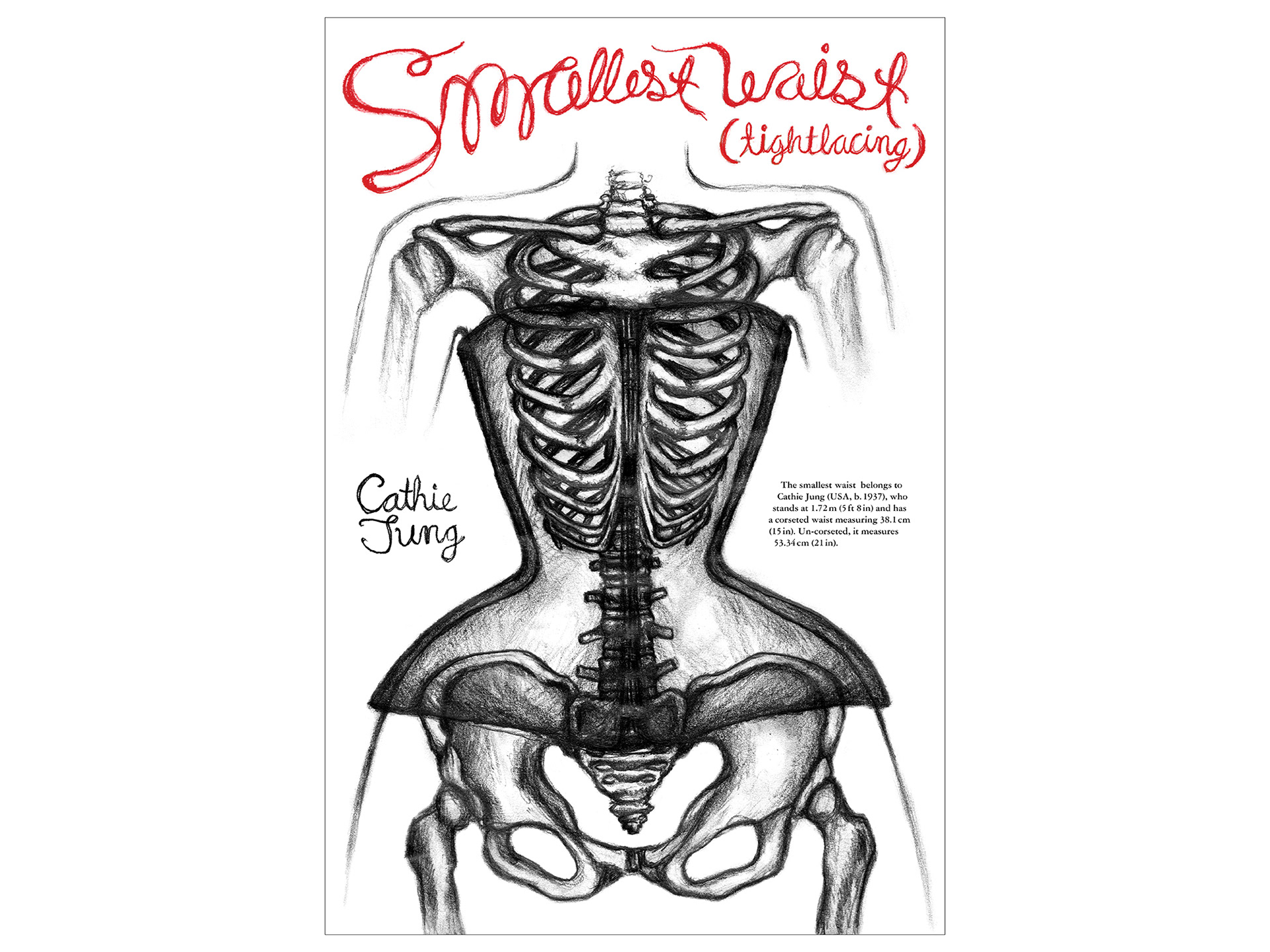 Poster Design of the Guinness World Record for Smallest Waist (tightlacing)