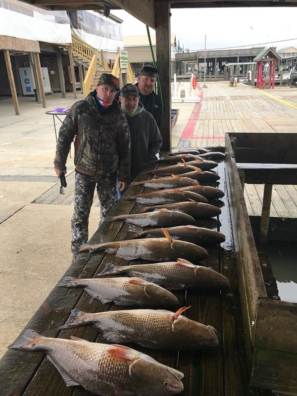 Taylor's Guide Service - Photos