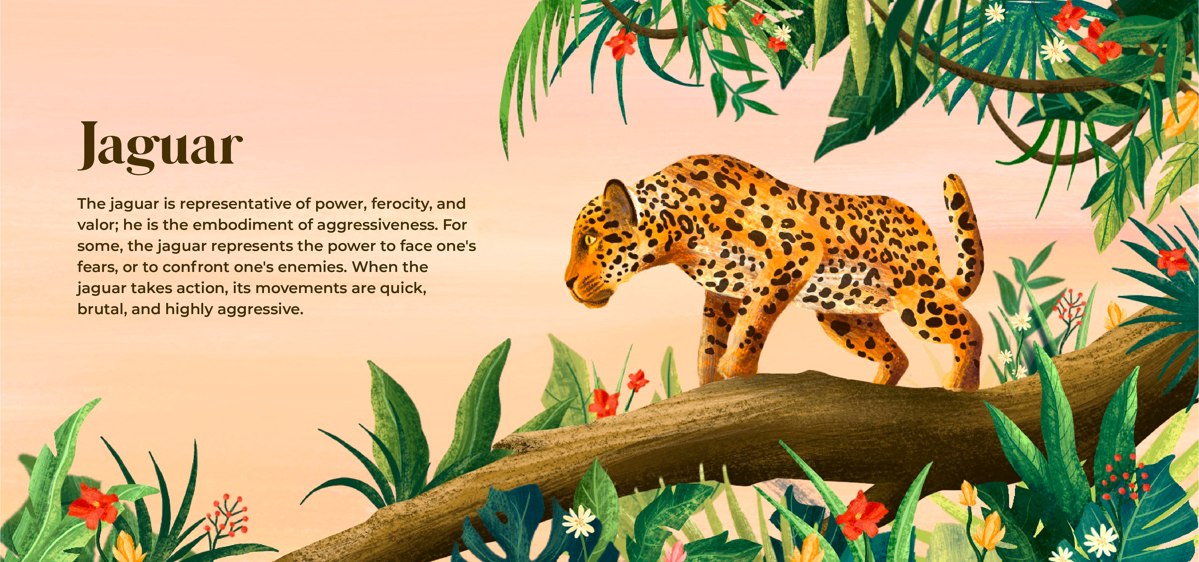 Claire McIntire Illustration - Jaguar Illustration & Banner