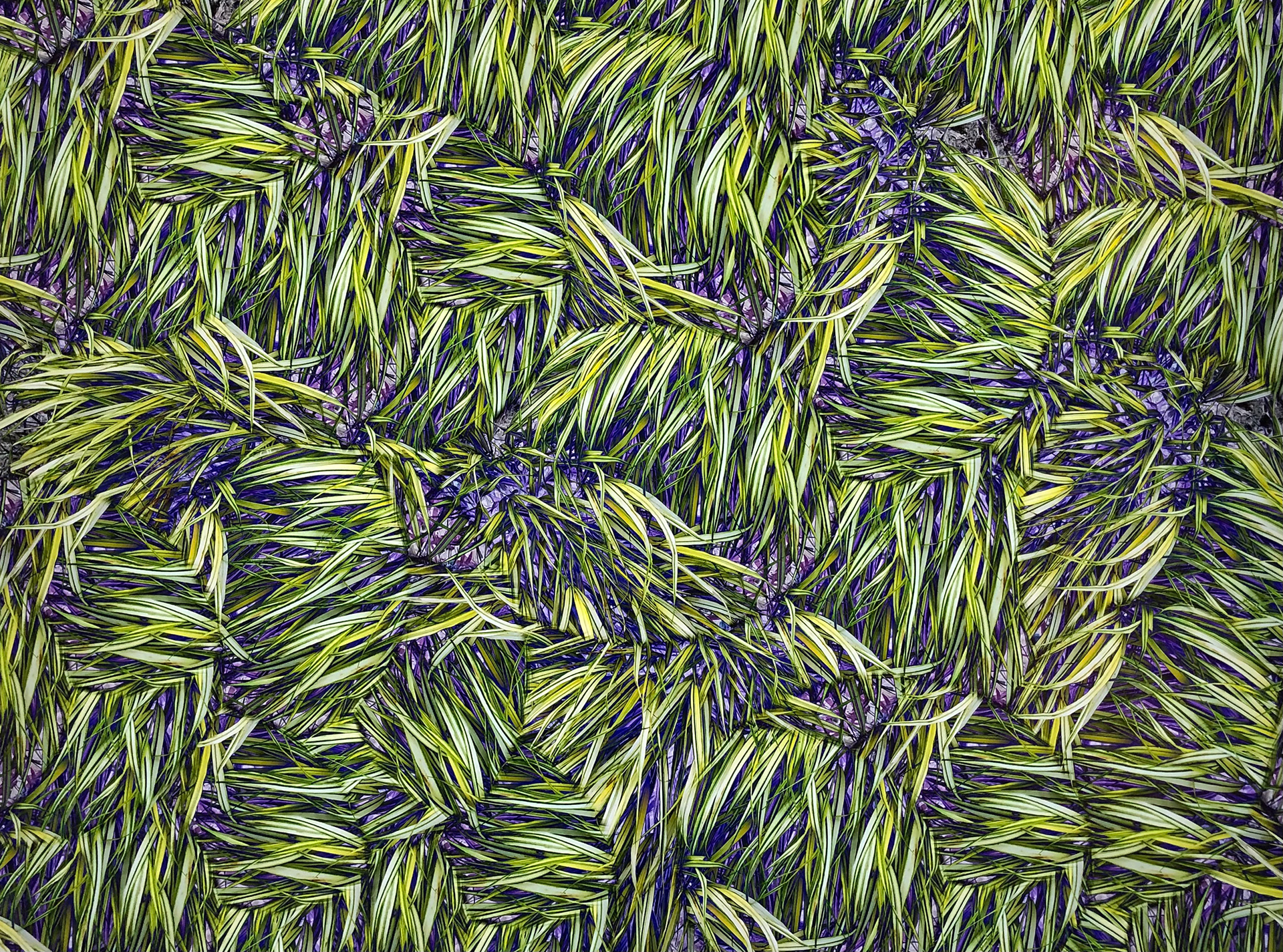 Growth Factor $500 (28" x 23")