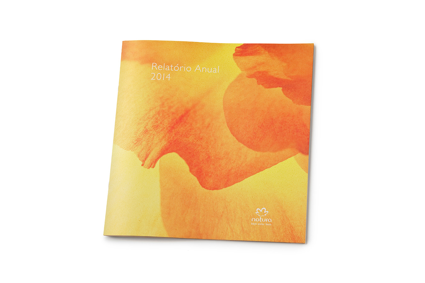 Ricardo Martini - Natura Annual Report 2014