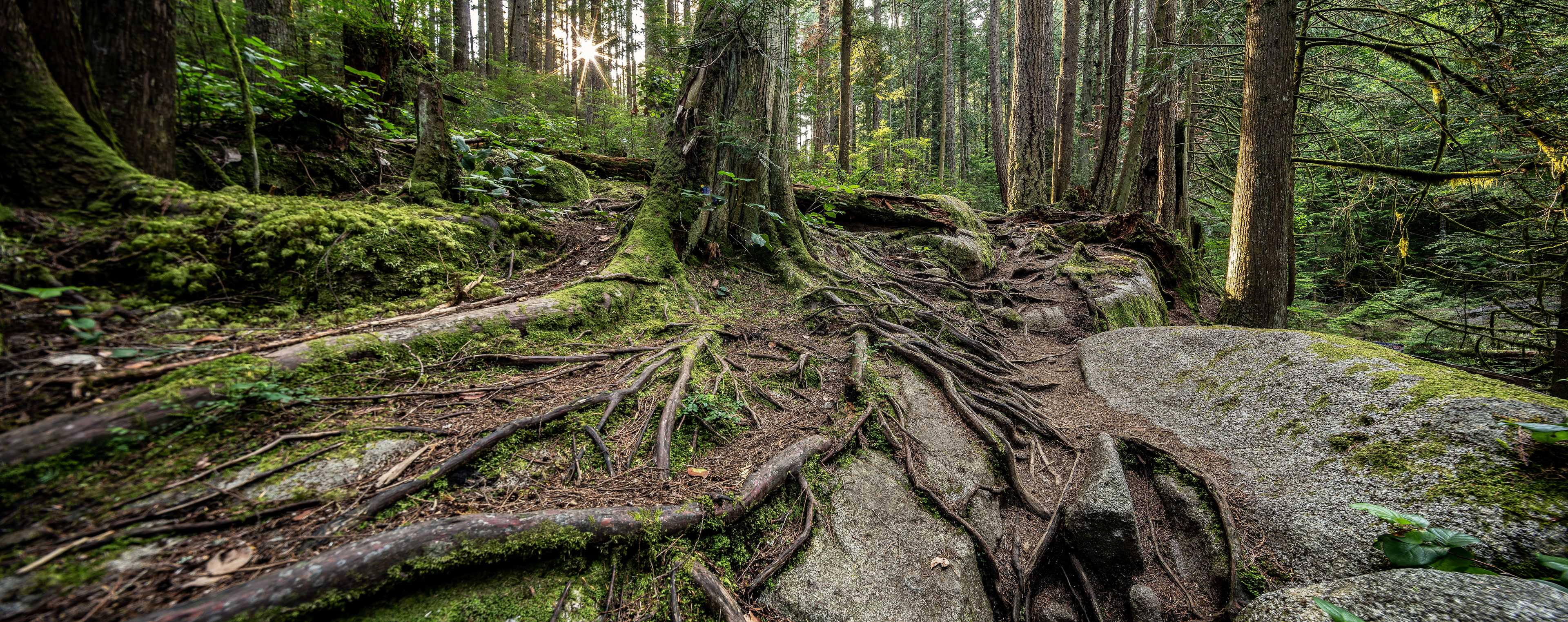 Cypress Falls Park, West Vancouver 2019