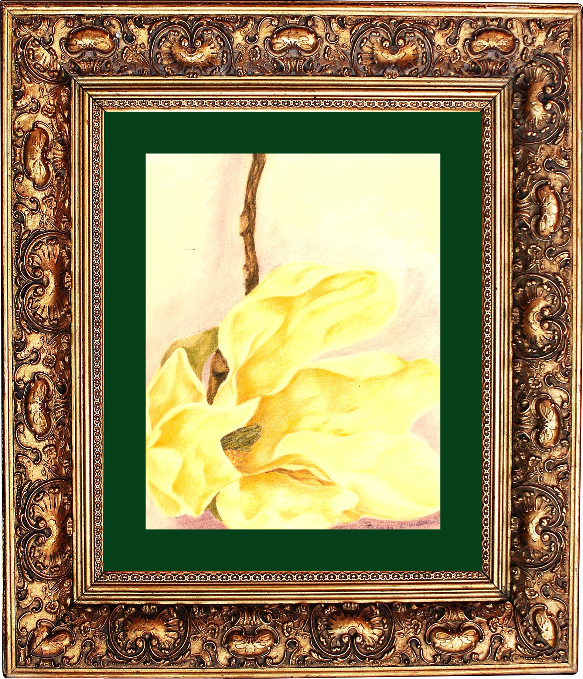  Florals (Colored Pencil) 