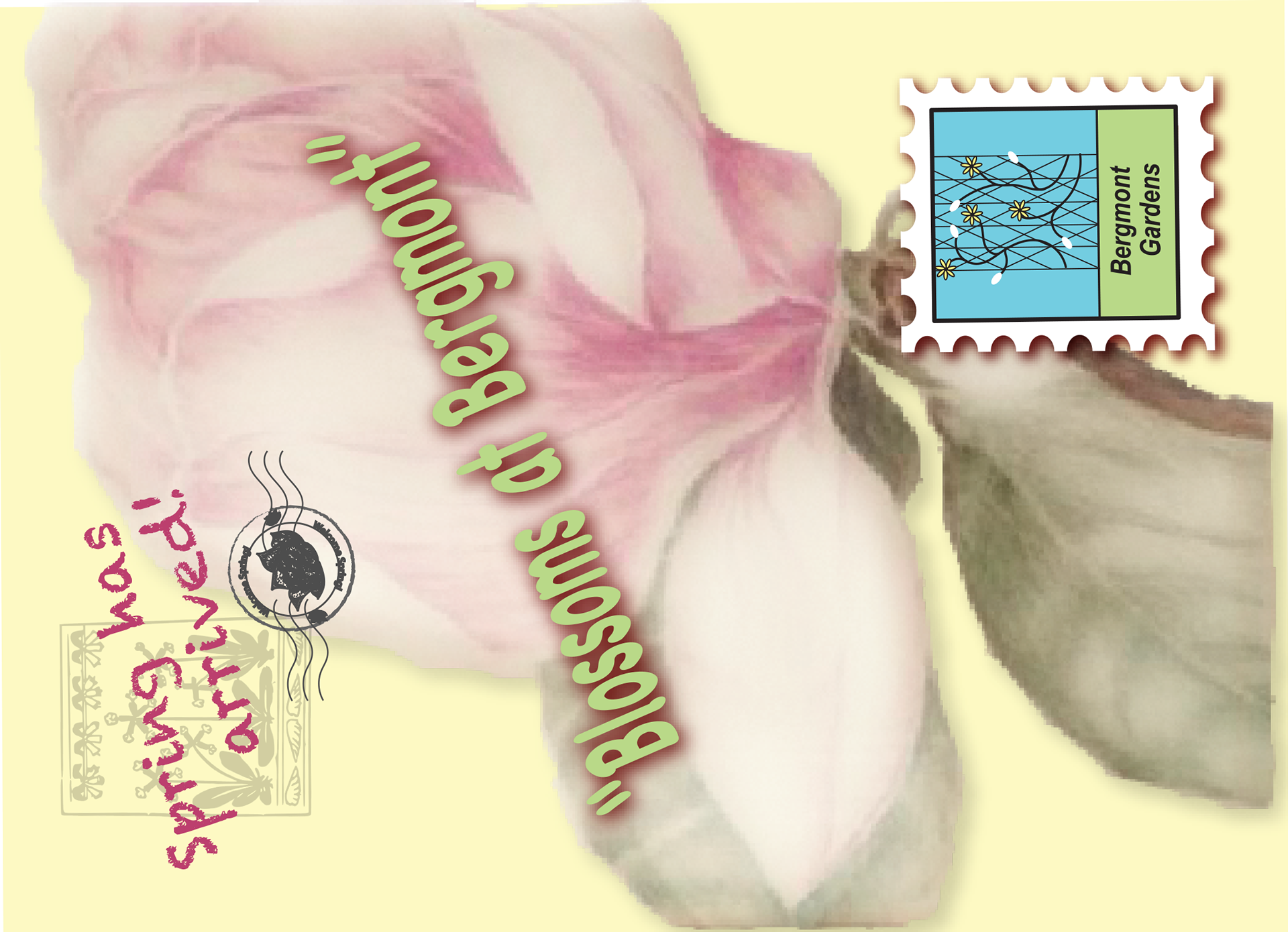 Bergmont Gardens Post Card Front (Adobe Photoshop & Illustrator)