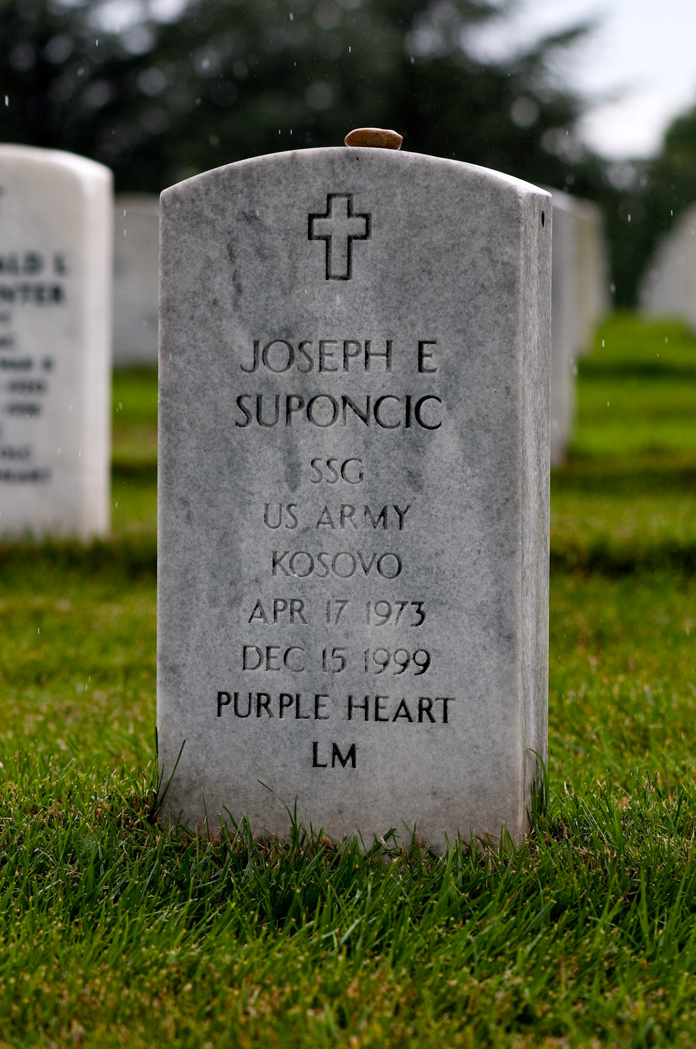 Arlington Rain - Arlington, Virginia