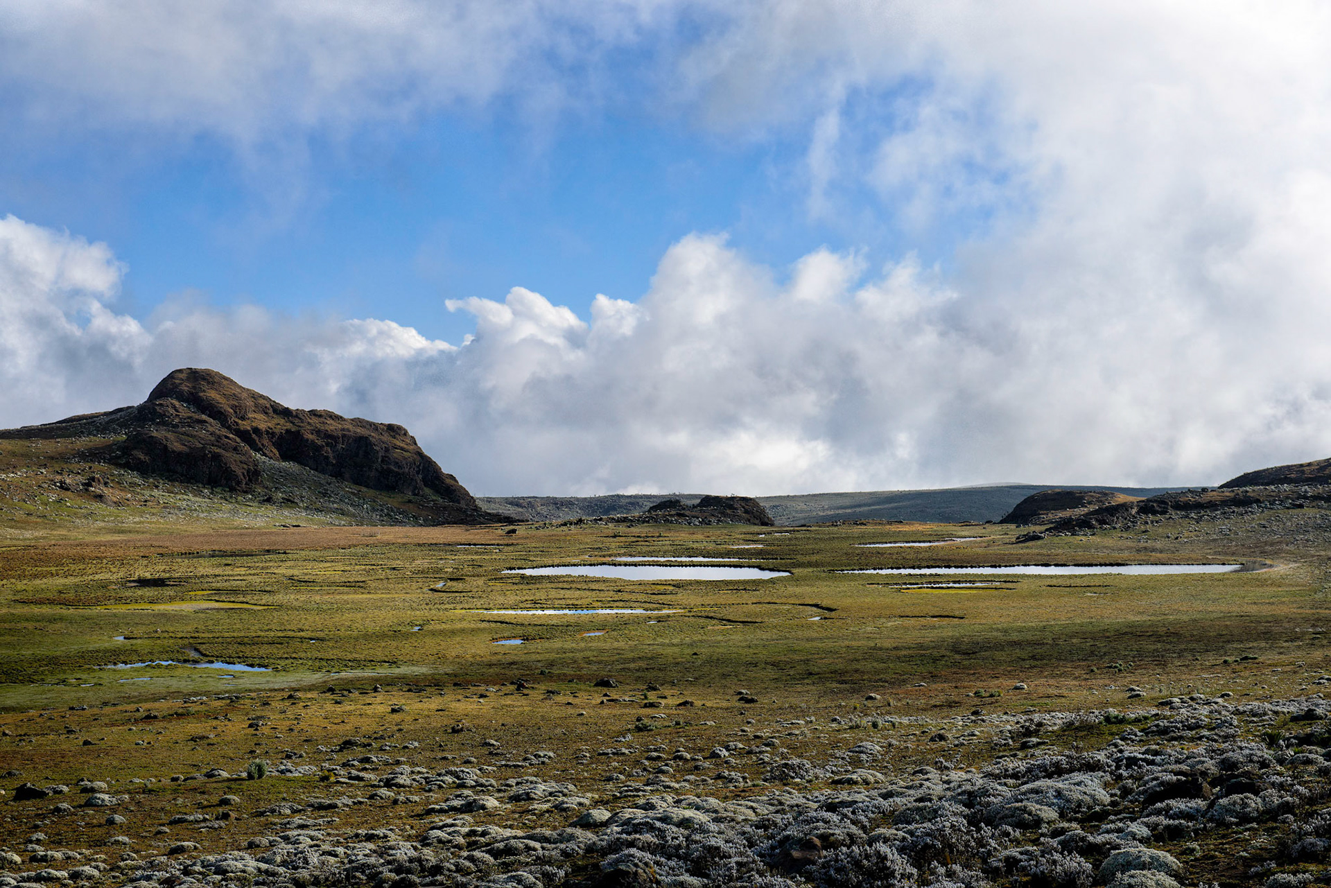 Alpine Moorland - Sanetti Plateau, Bale Mountain National Park, Ethiopia