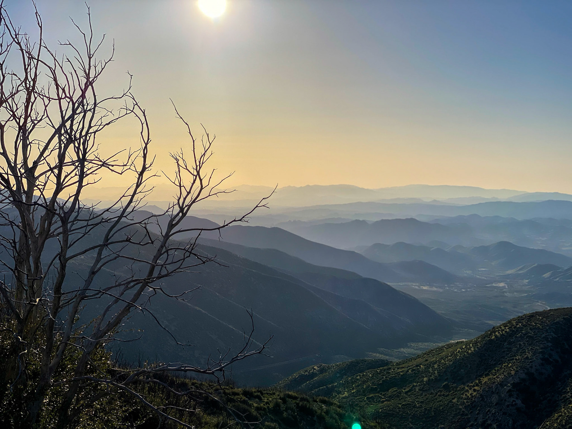 PCT: Sunrise, Angeles National Forest, Palmdale, CA