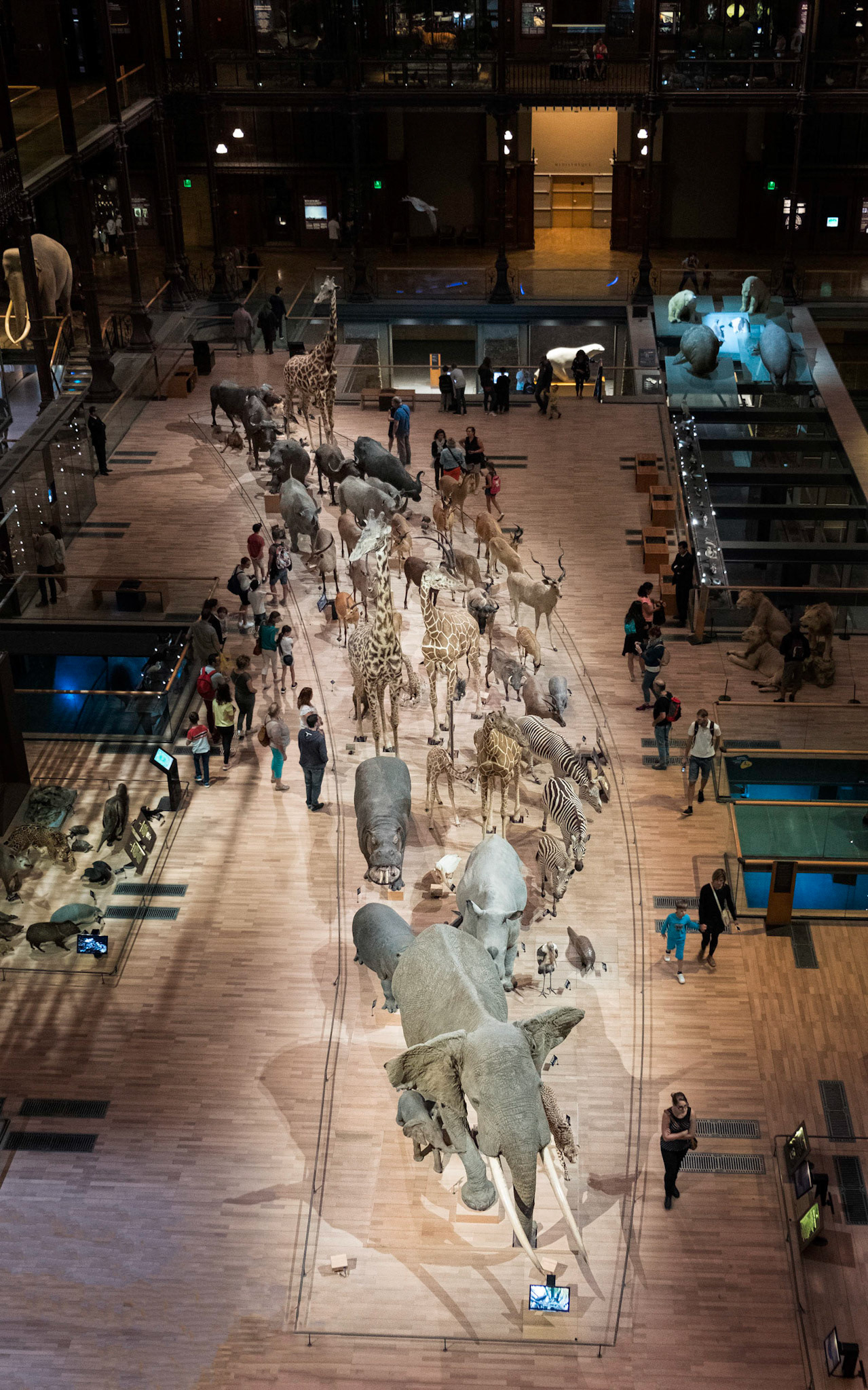 Grande Gallerie de l'Evolution - Paris, France