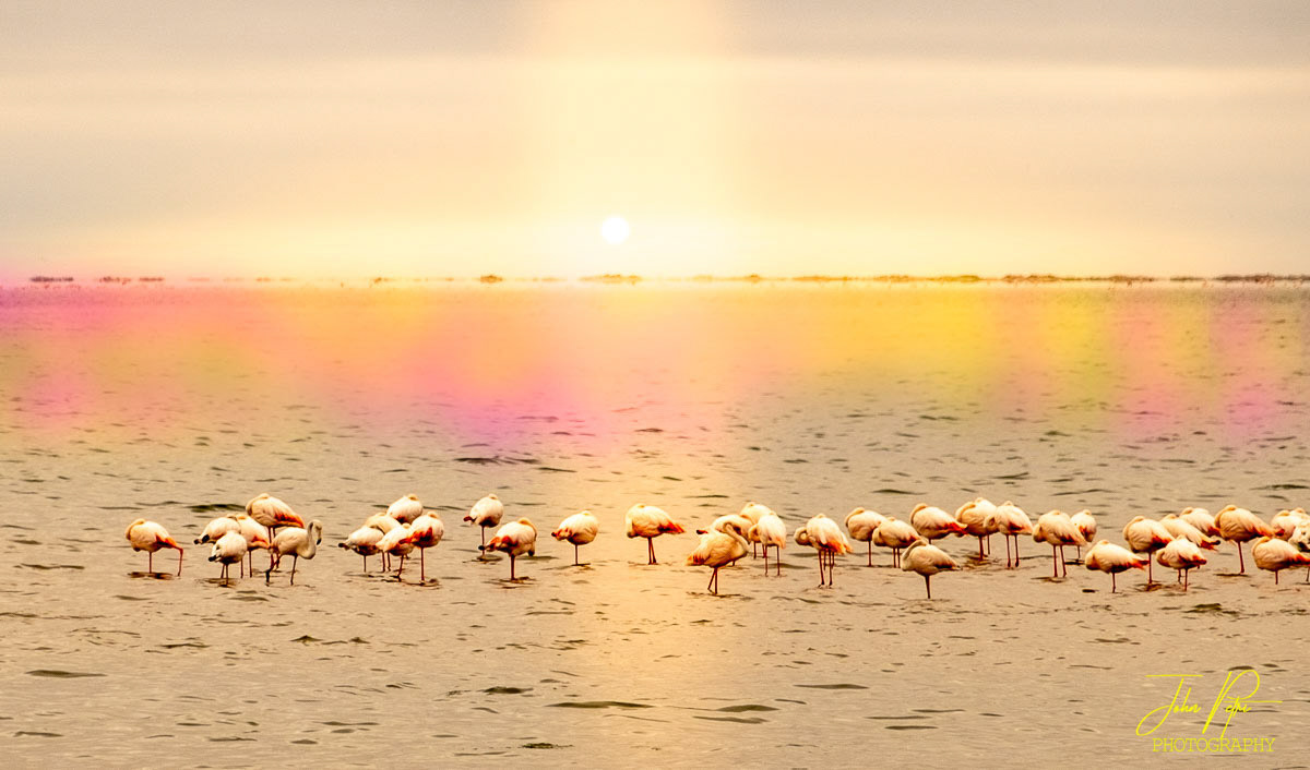 Walvis Bay, Namibia, Africa