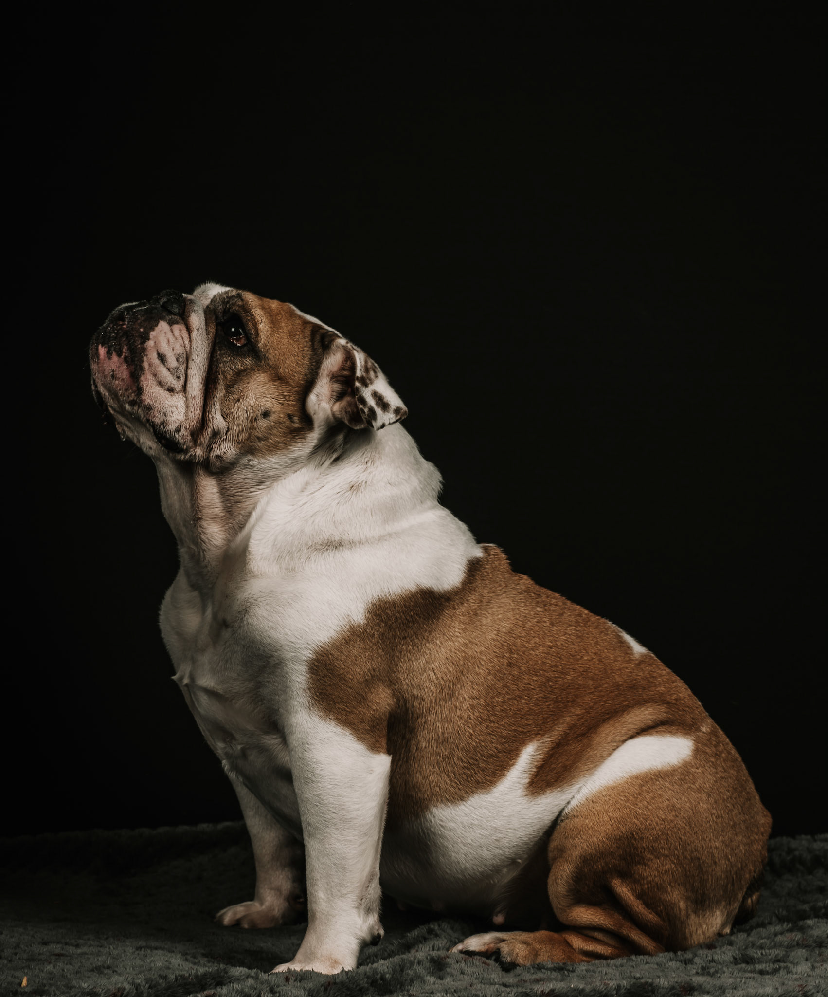 Portrait photographer Sudbury, Suffolk