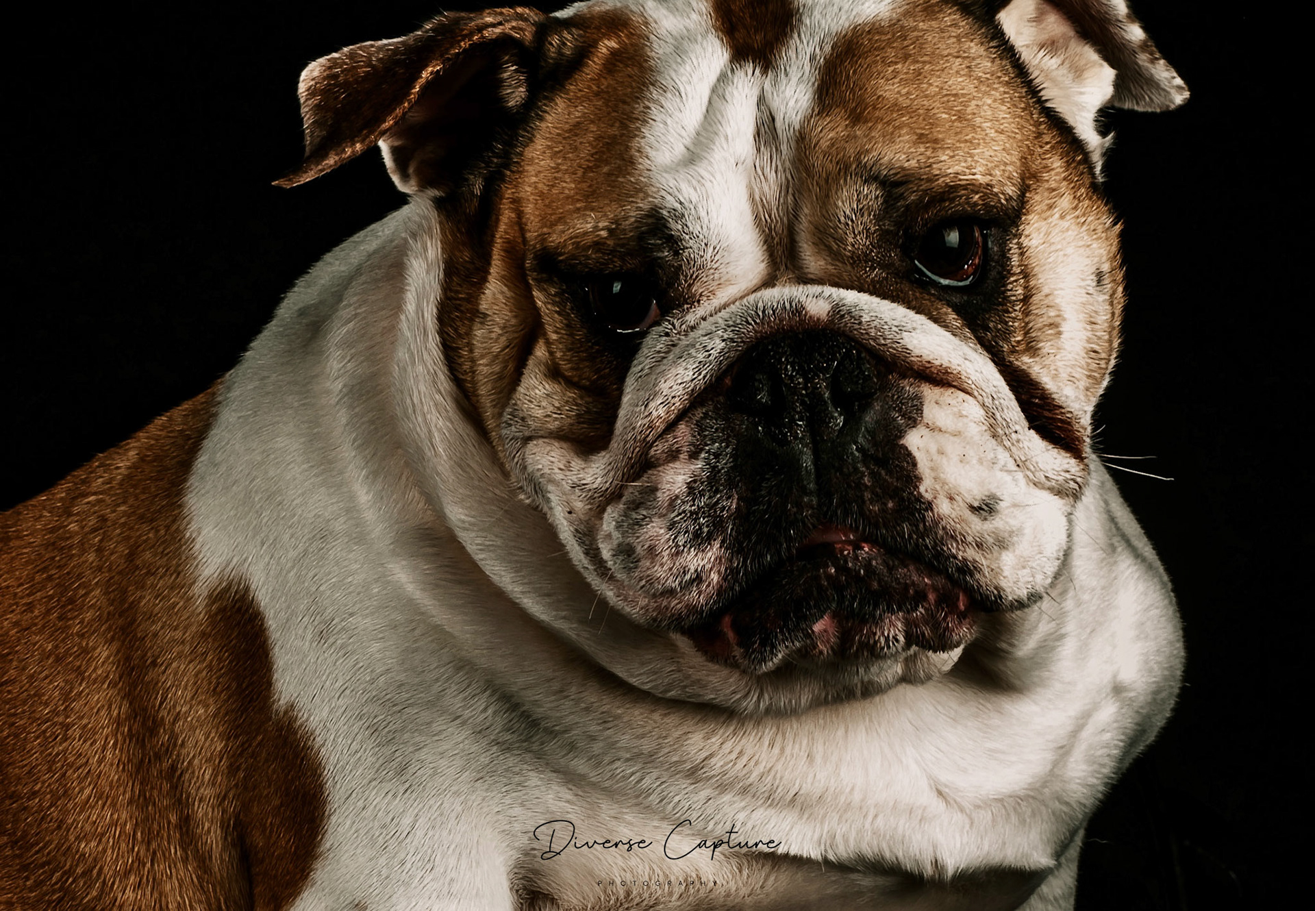 Portrait photographer Sudbury, Suffolk