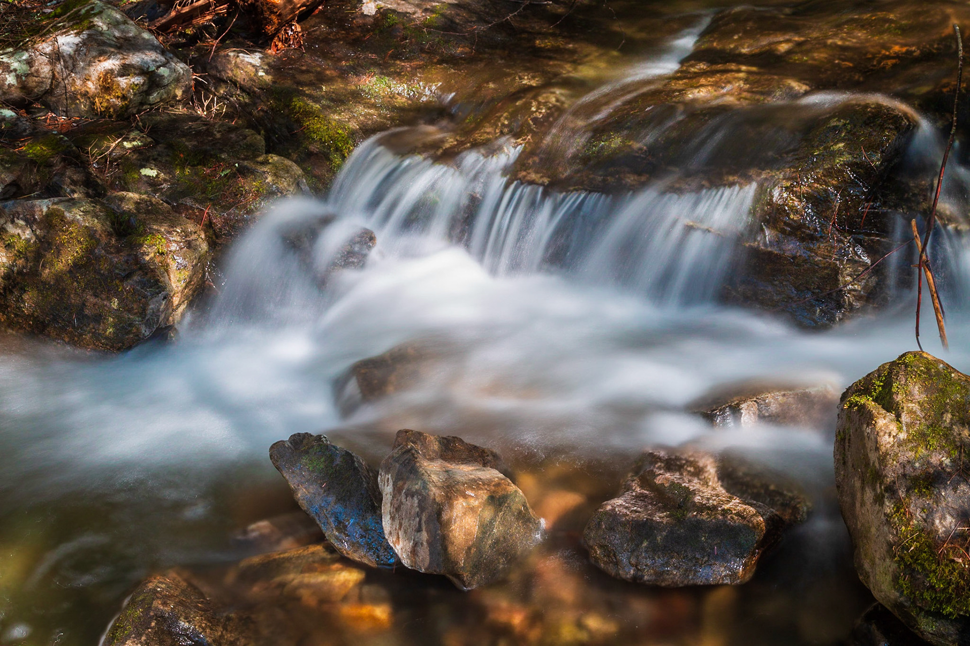 Brook Along the Clay Meadow Trail