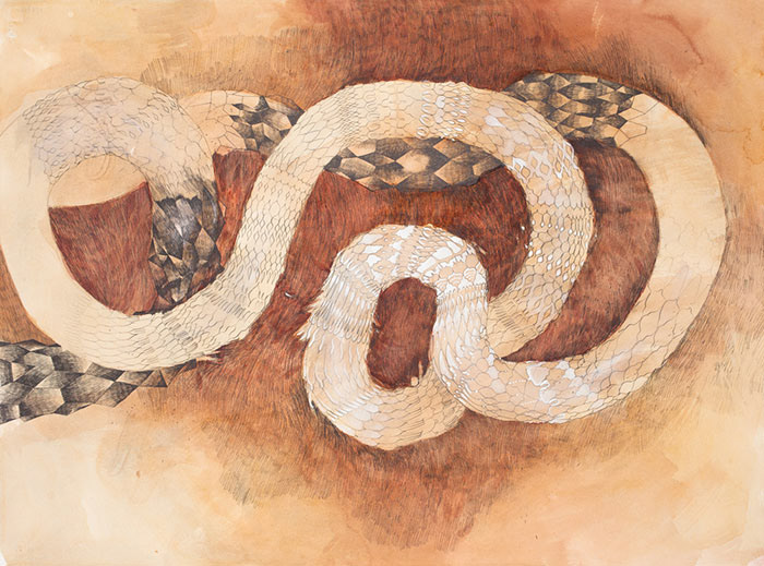 String Theory with Ornamentation