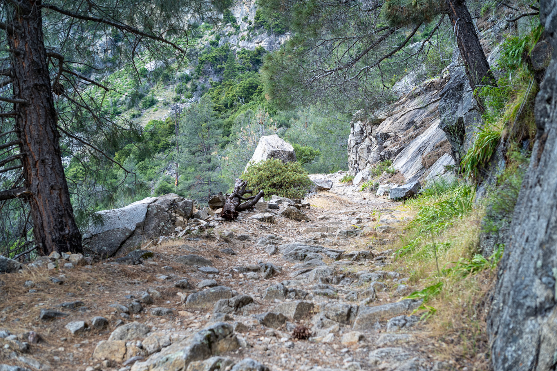 Hetch Hetchy