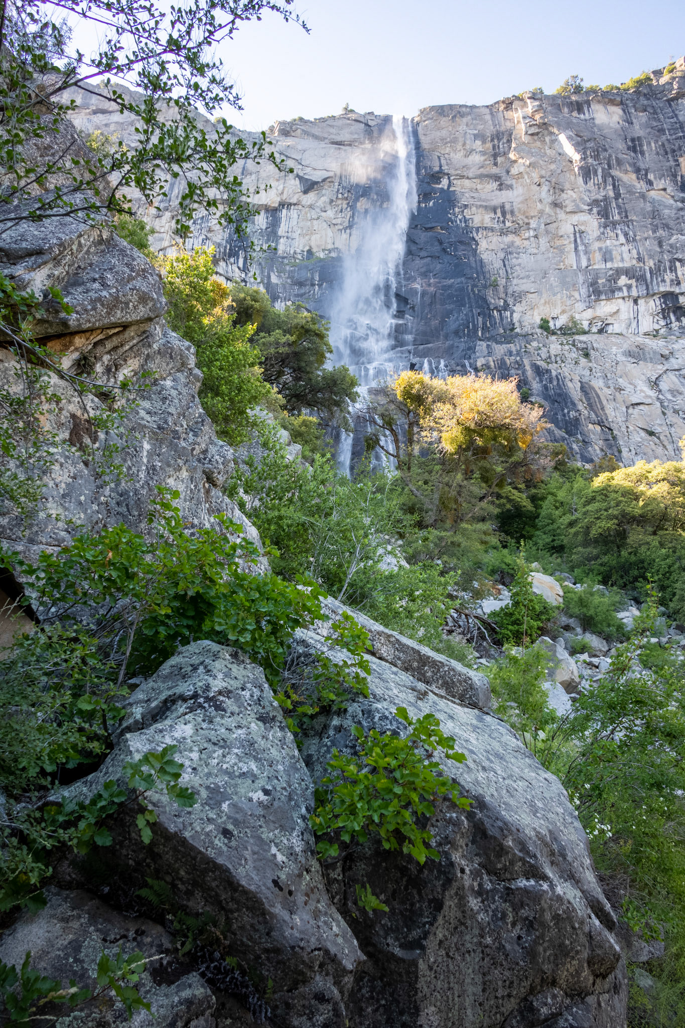 Hetch Hetchy