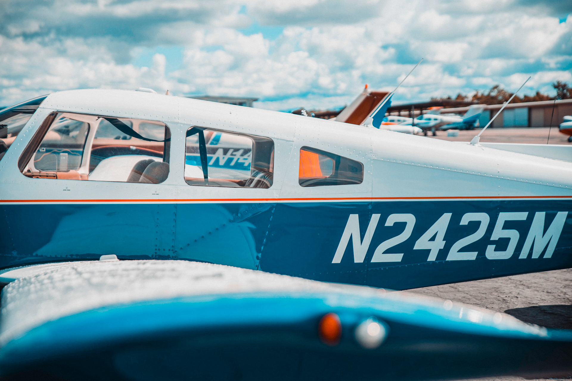 Left wing view