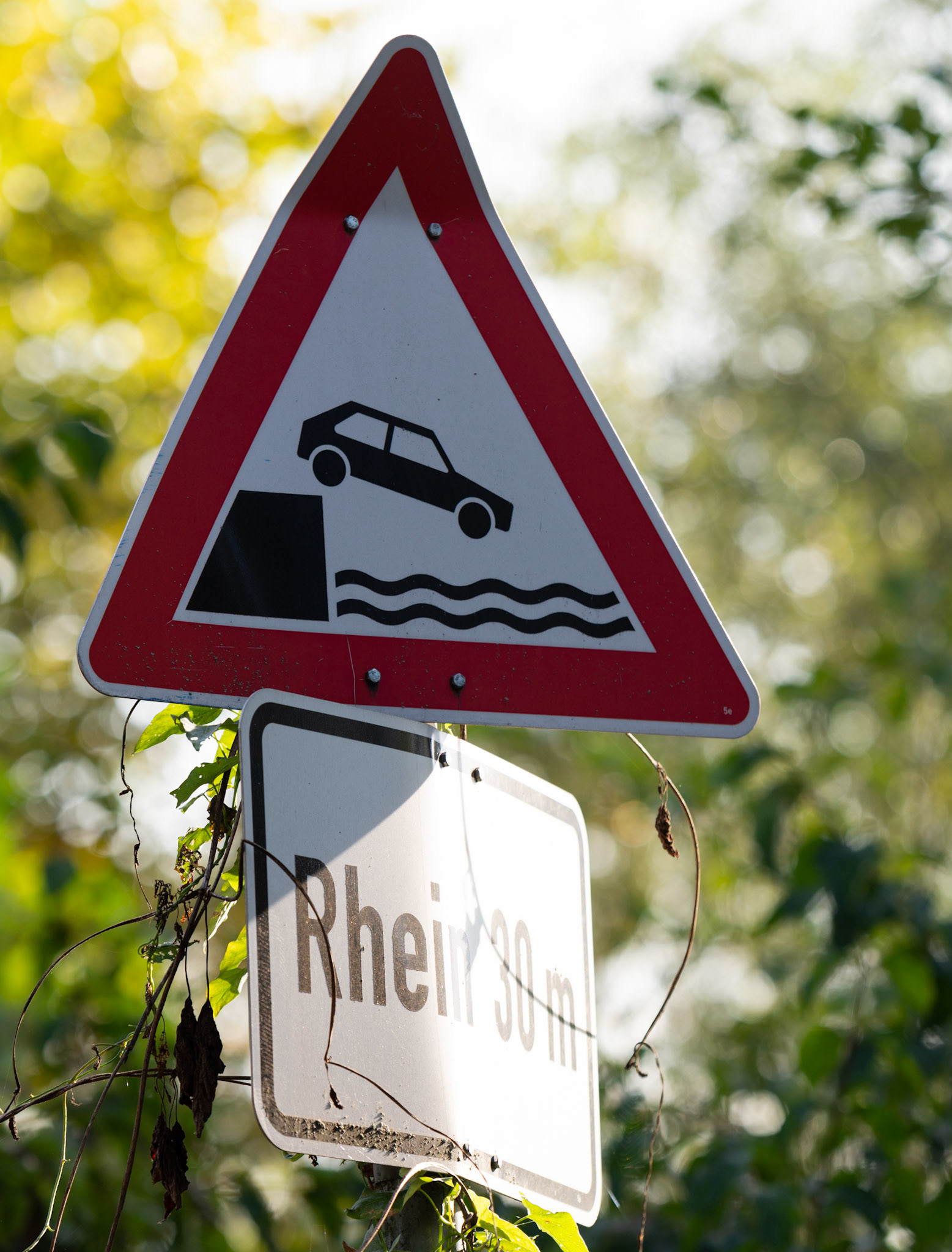 Am Rhein in Germersheim