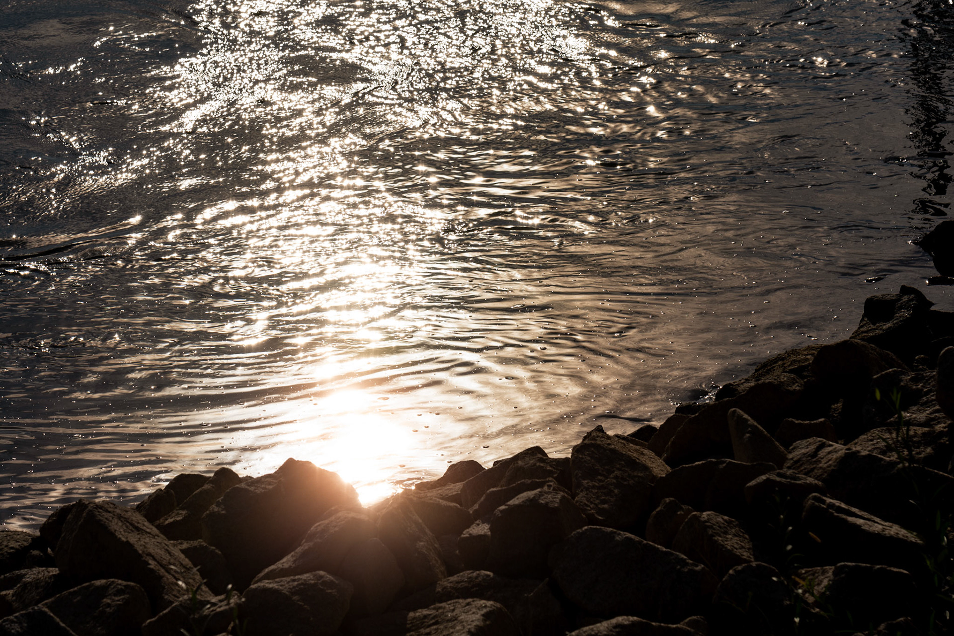 Sonnenreflektion am Rhein in Germersheim