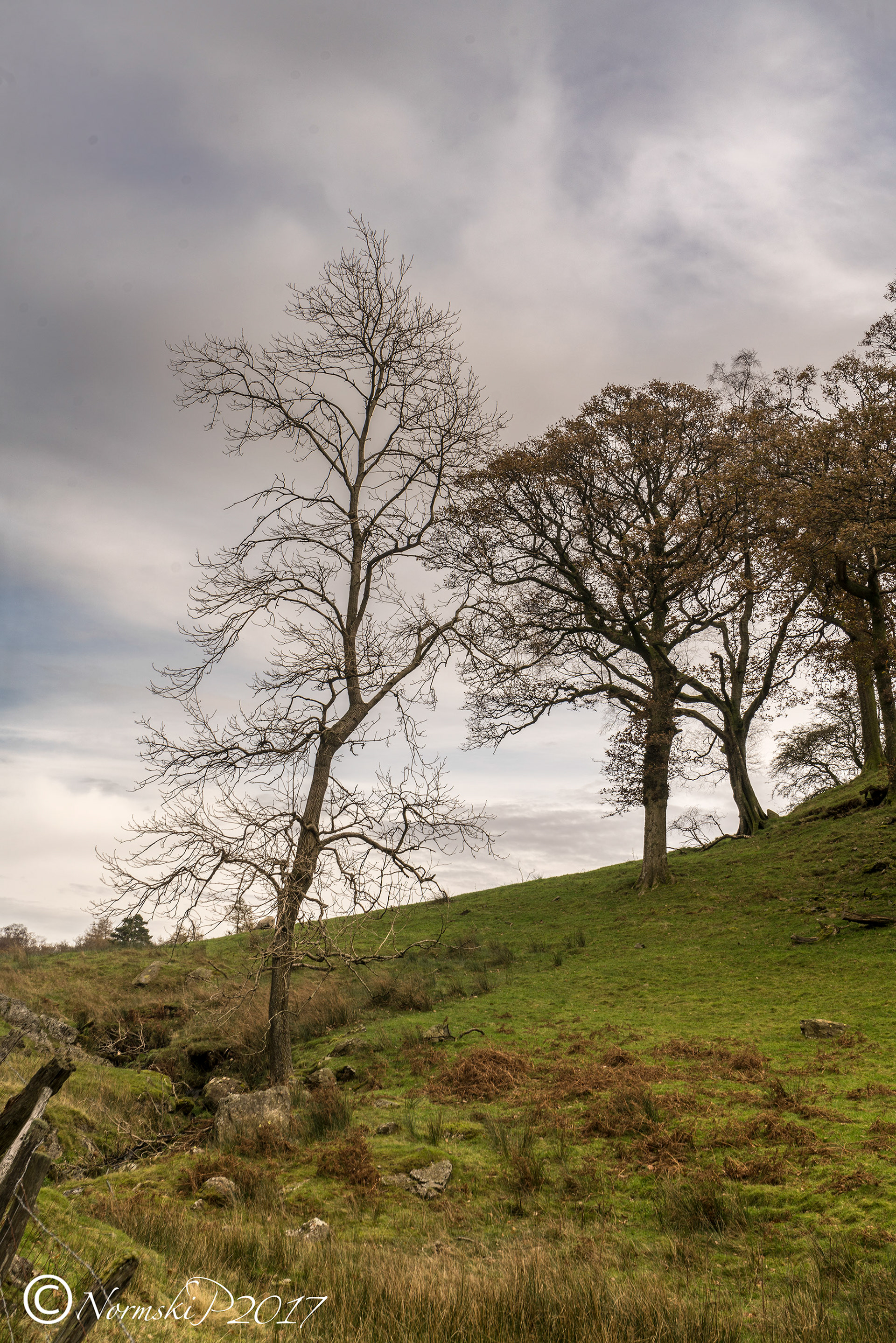 Tilberthwaite