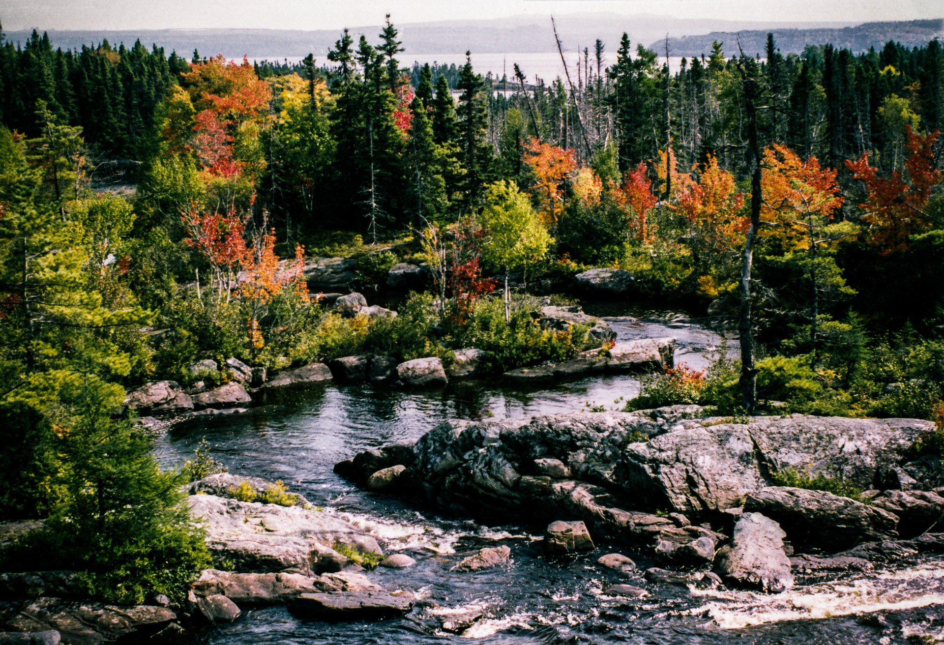 Terra Nova, NL