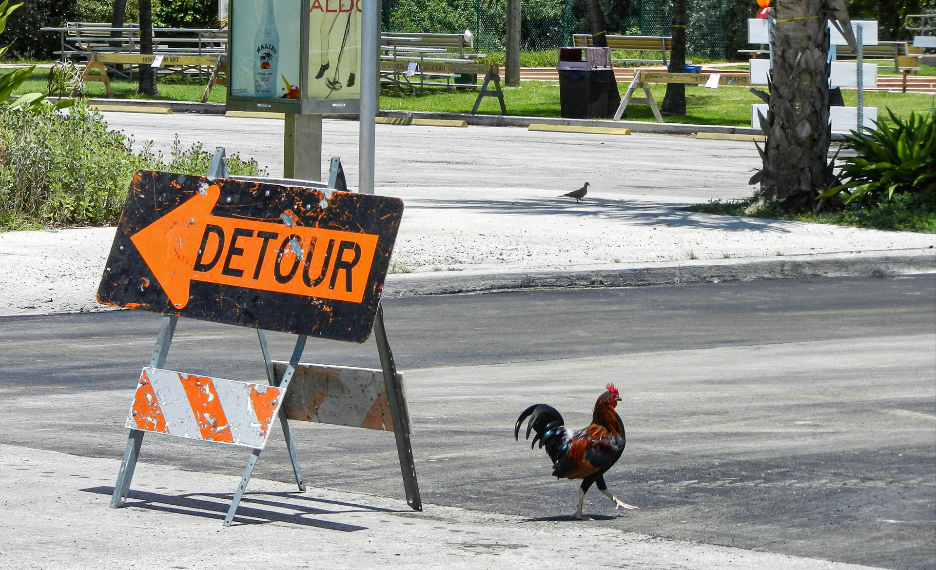 Key West, FL