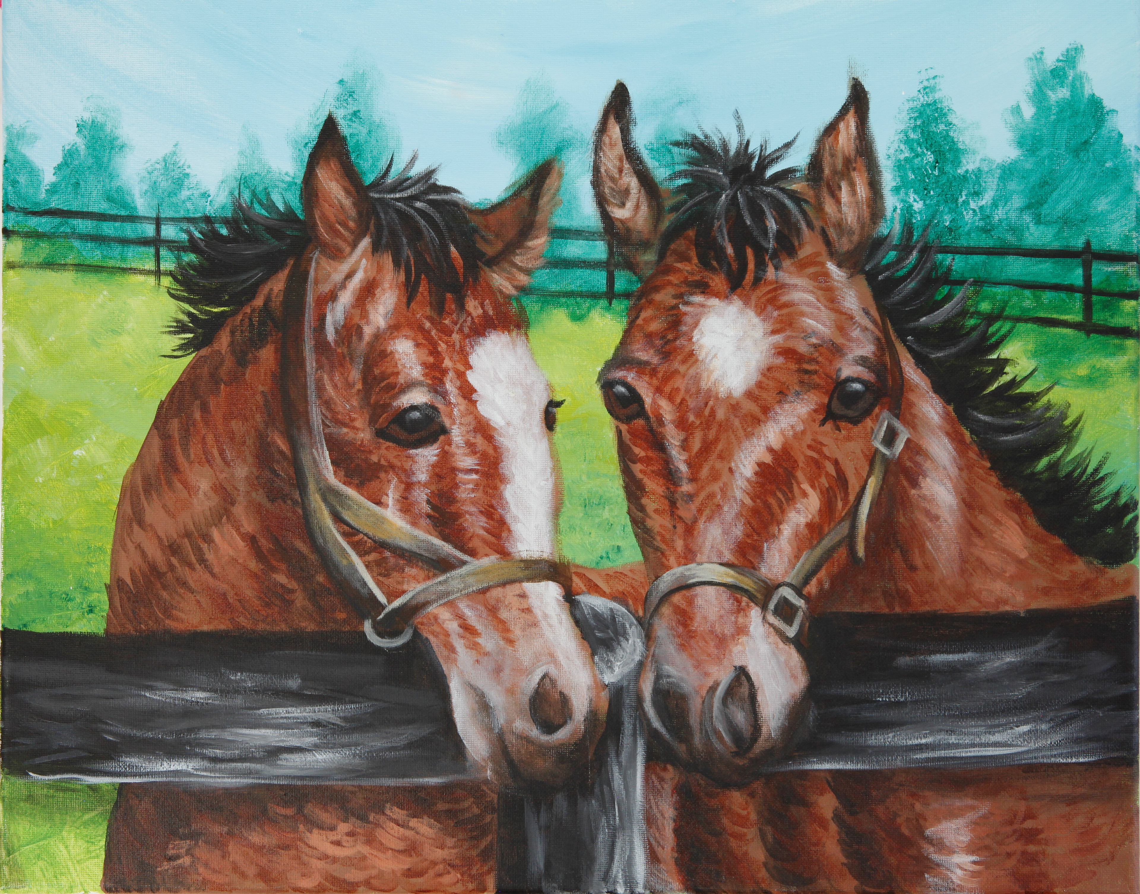 Countryside horses