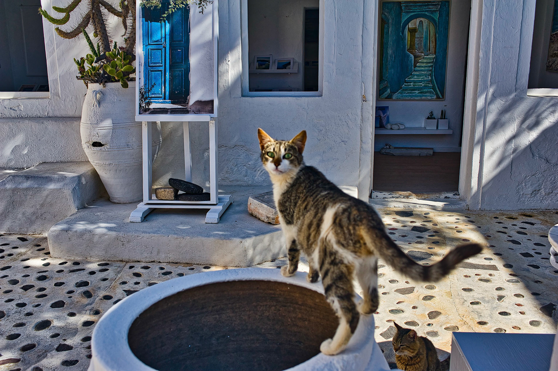 Oia, Santorini, Greece
