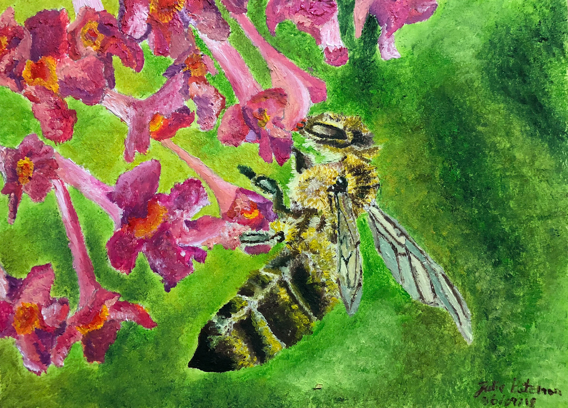 Honey Bee from a London Garden Oil on Paper 2018