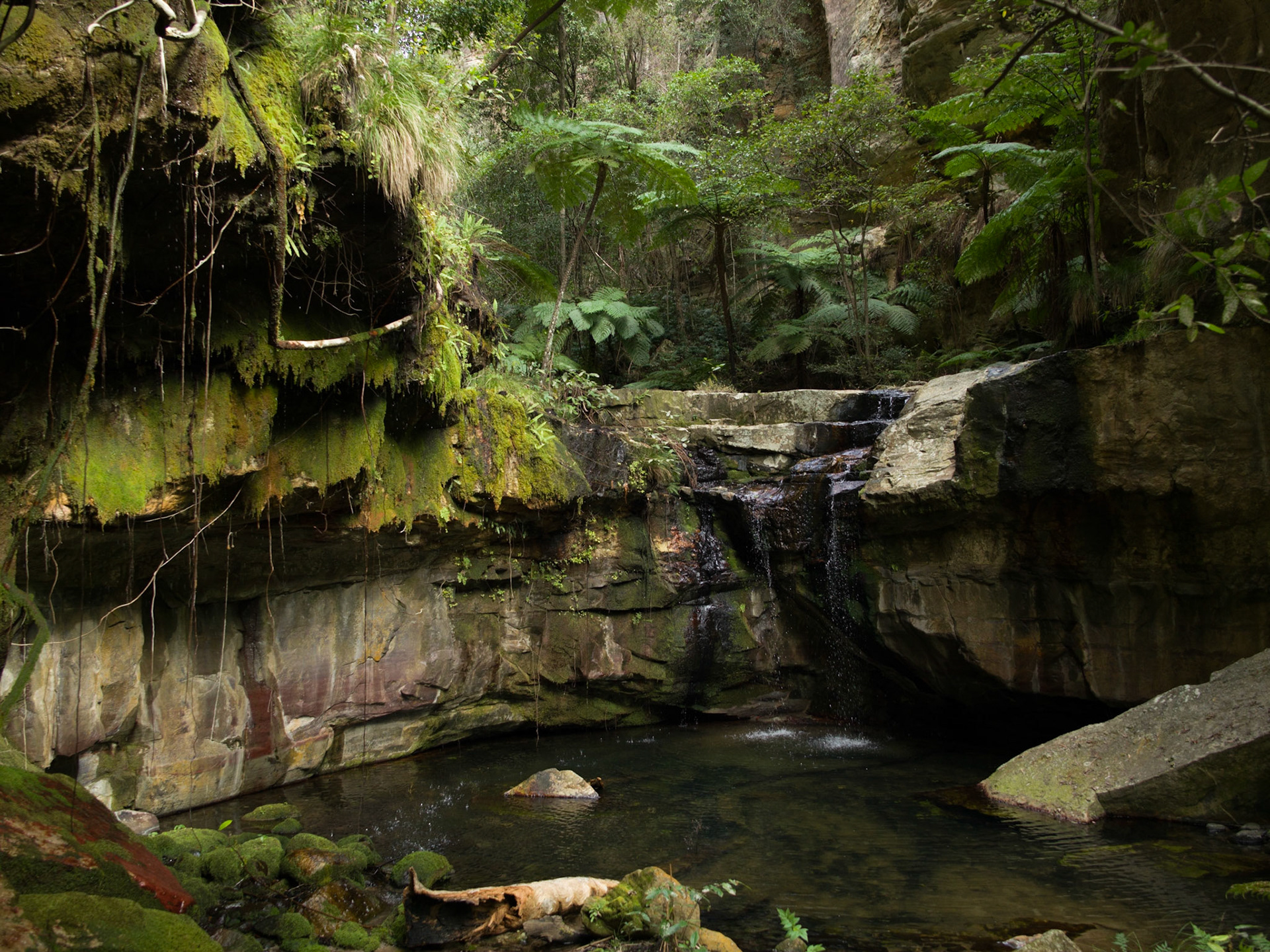 Carnarvon Gorge AUS