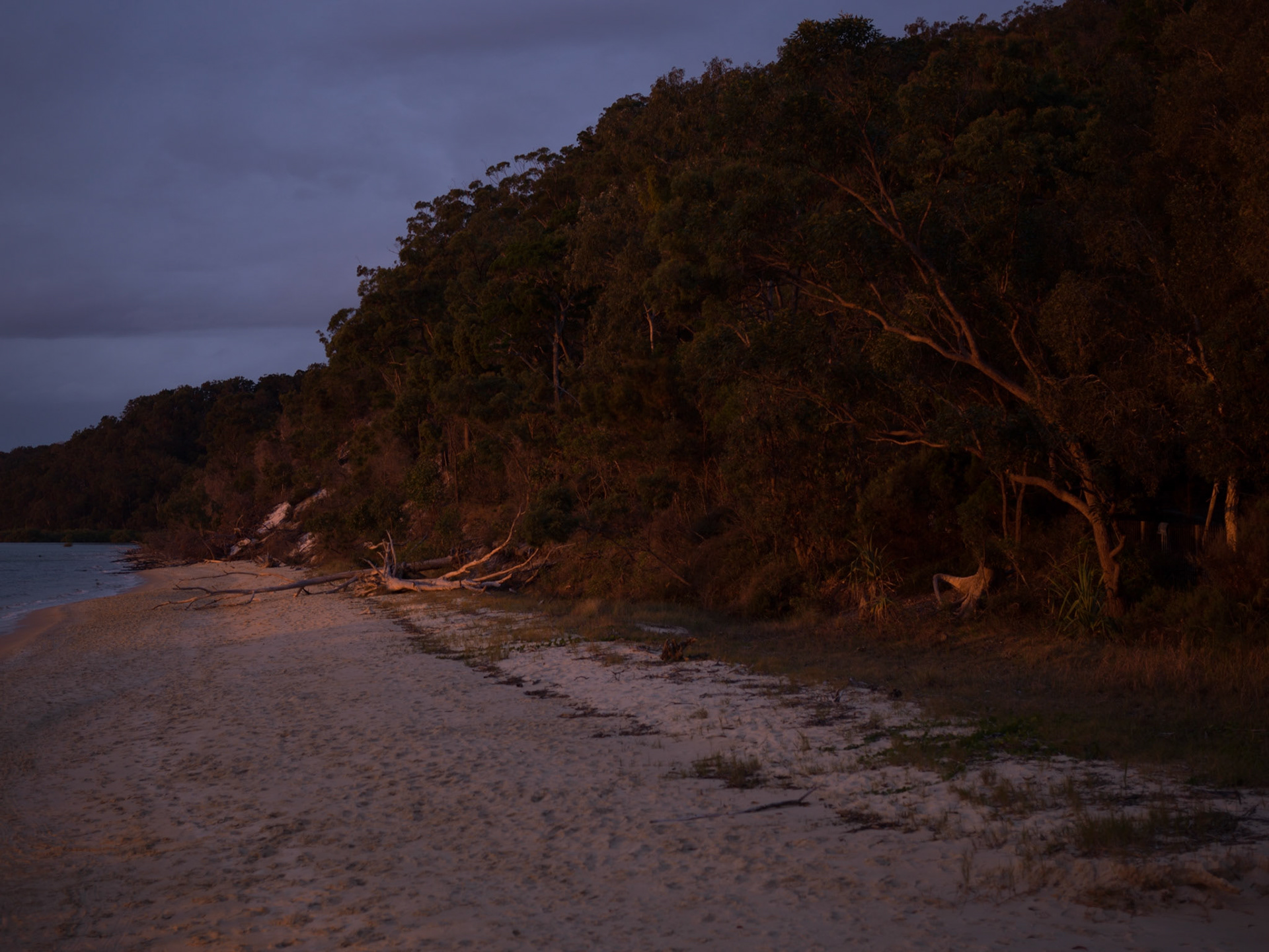 Fraser Island AUS
