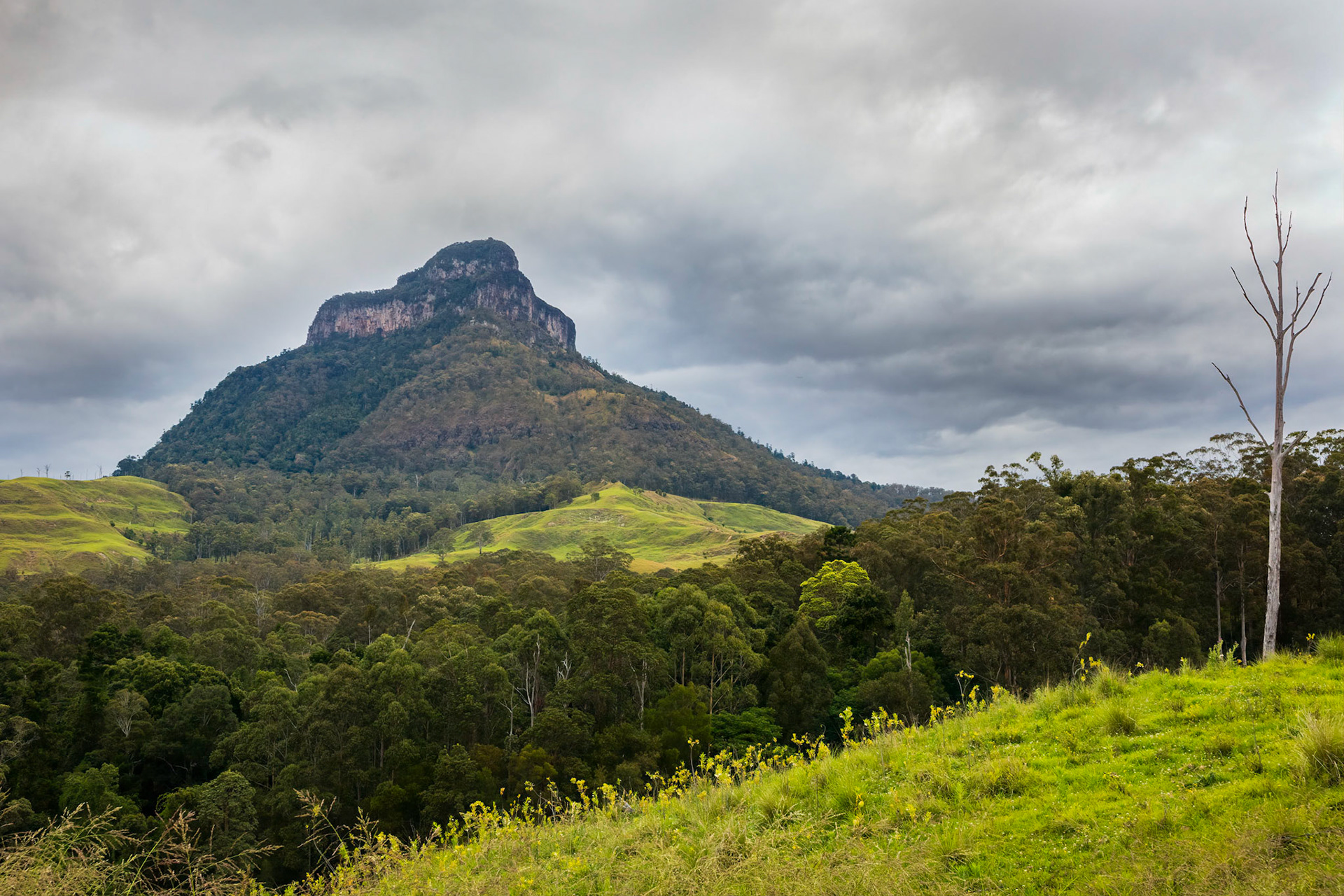 Mt Lindsay - McPherson Range