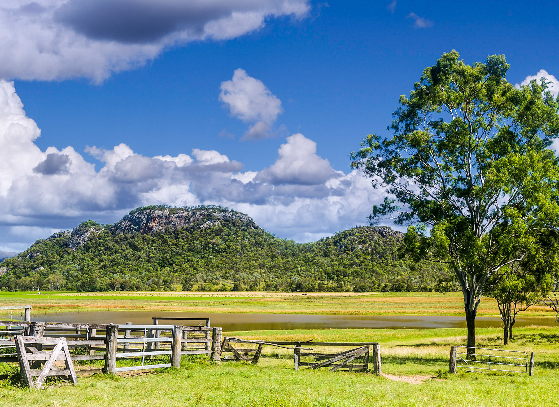 The Wall - Croftby near Boonah