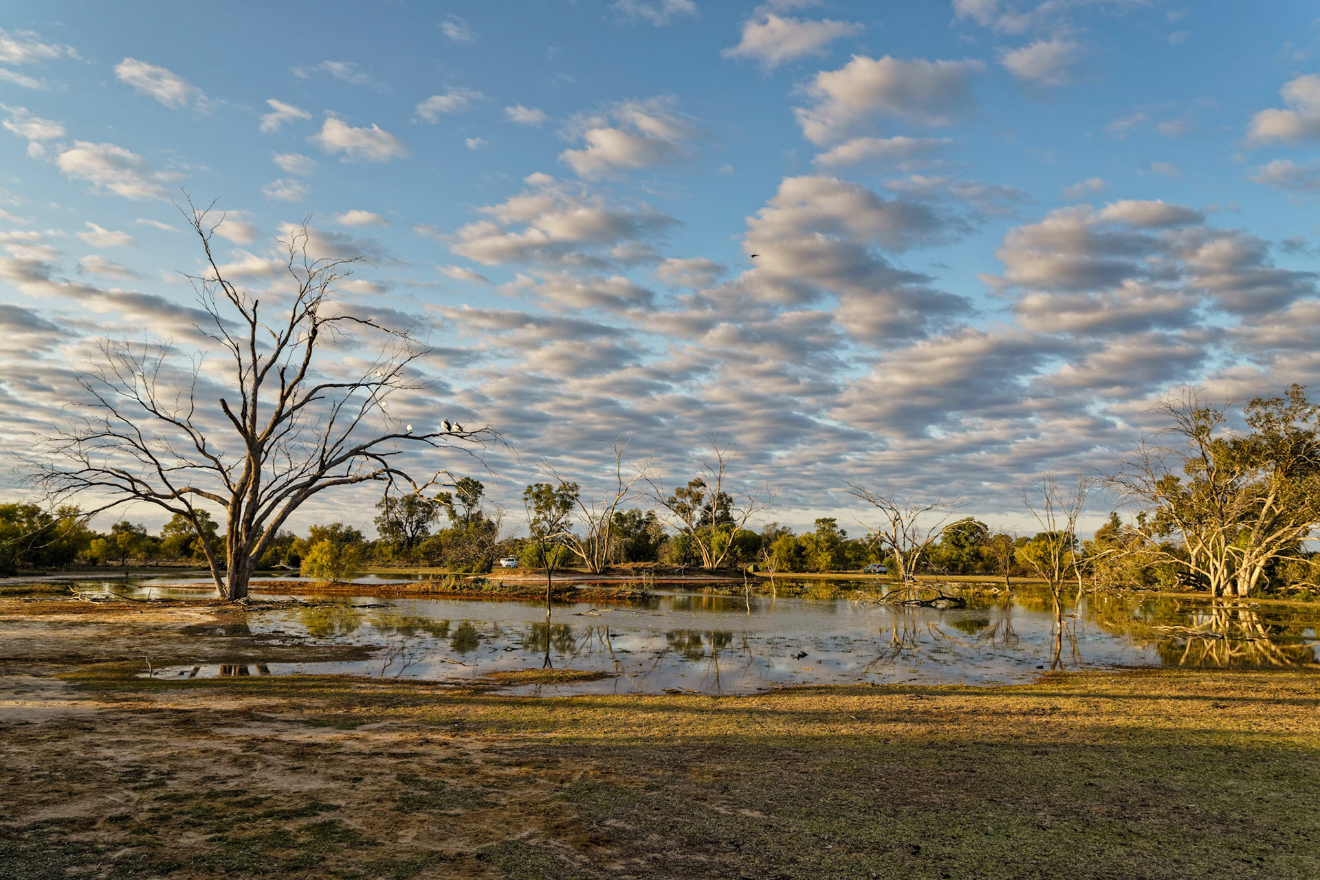 Homestead Lagoon - Bowra Stanctuary, Cunnamulla