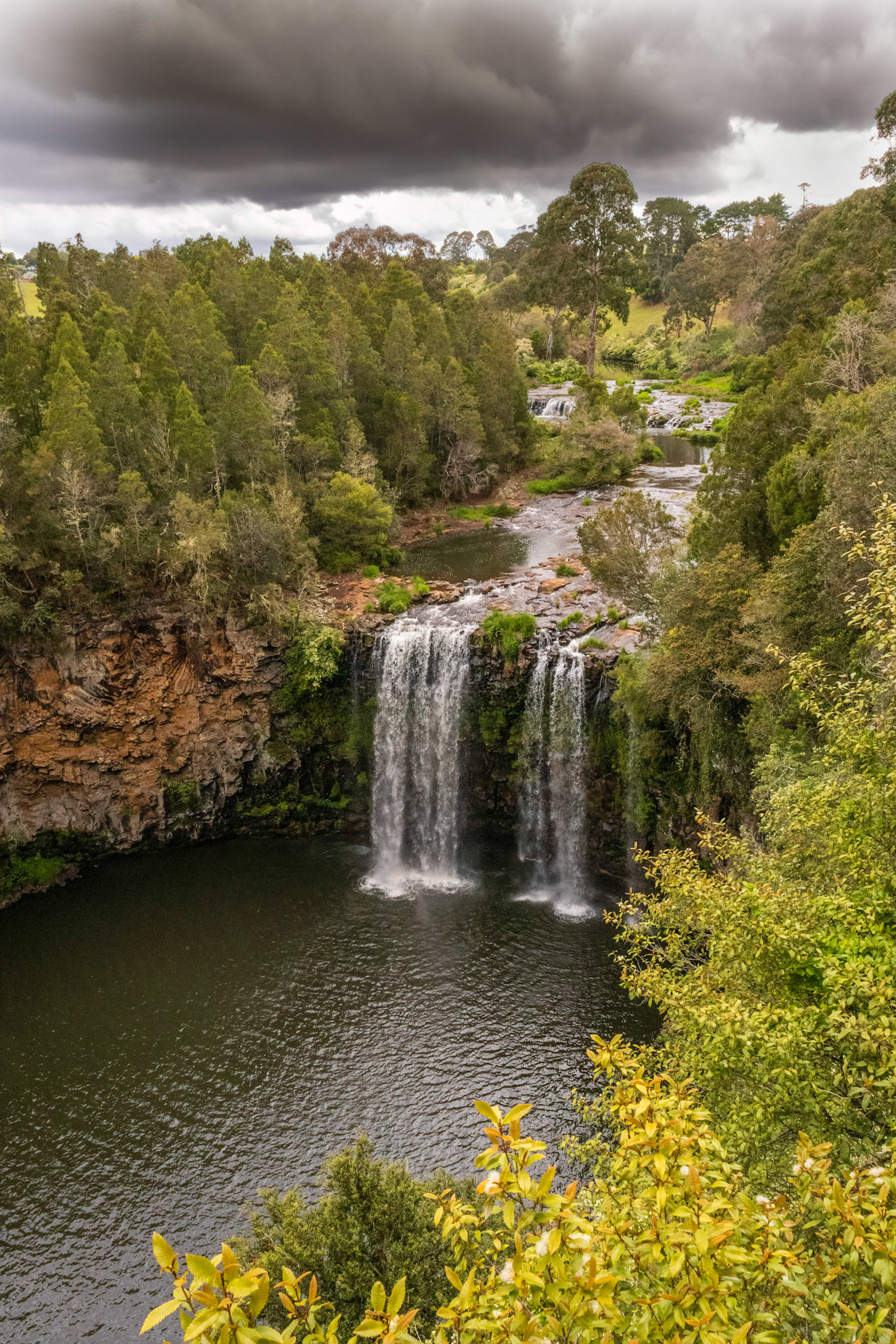Dangar Falls - Dorrigo