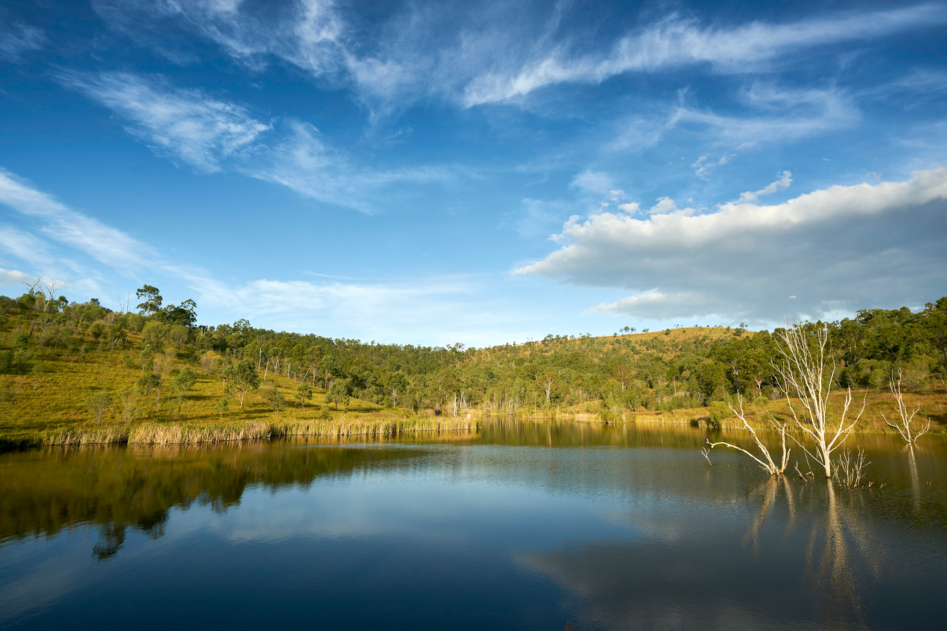 Lake Wyaralong Offshoot - Wyaralong via Beaudesert