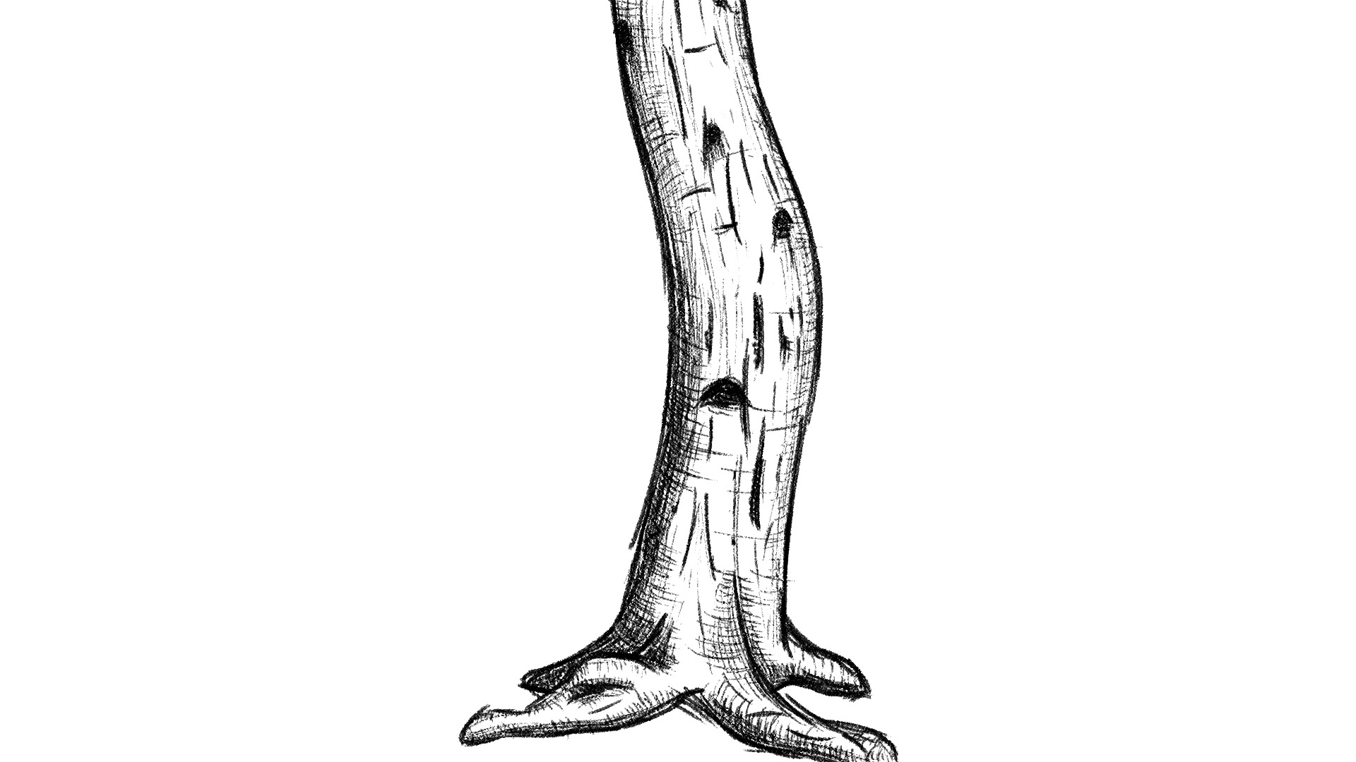 Tree Sketch - Digital