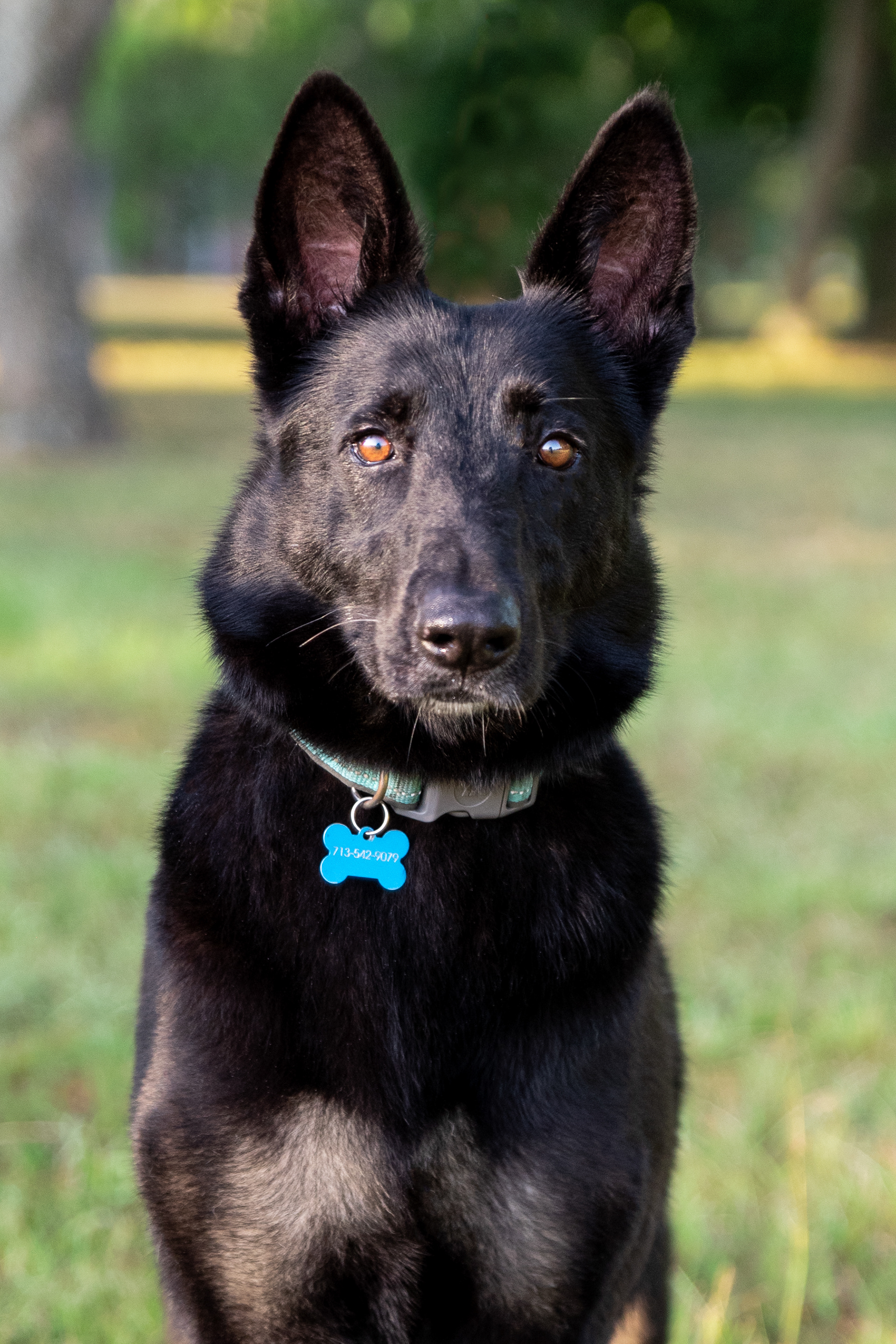 Mia