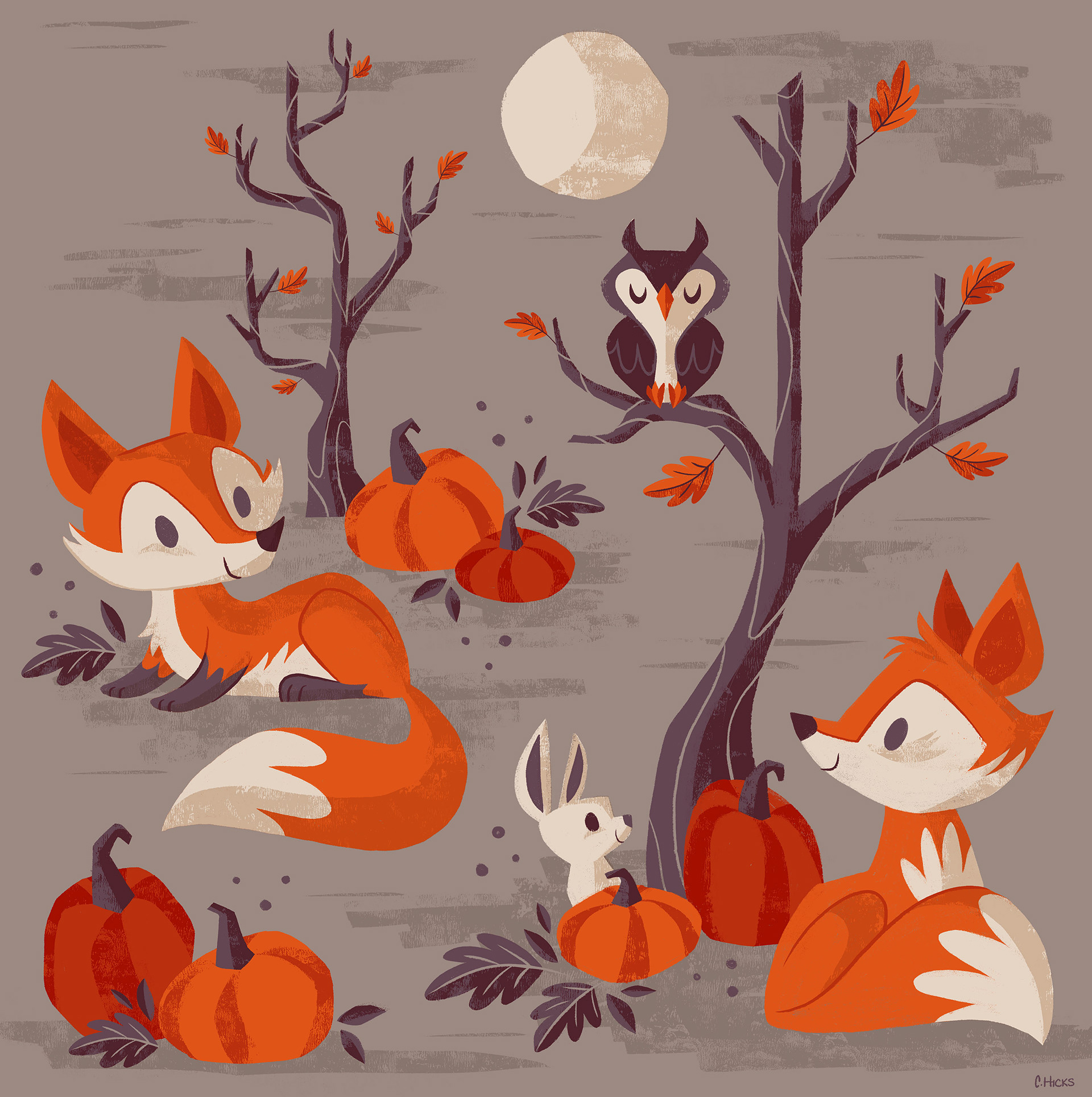 caley hicks fall foxes