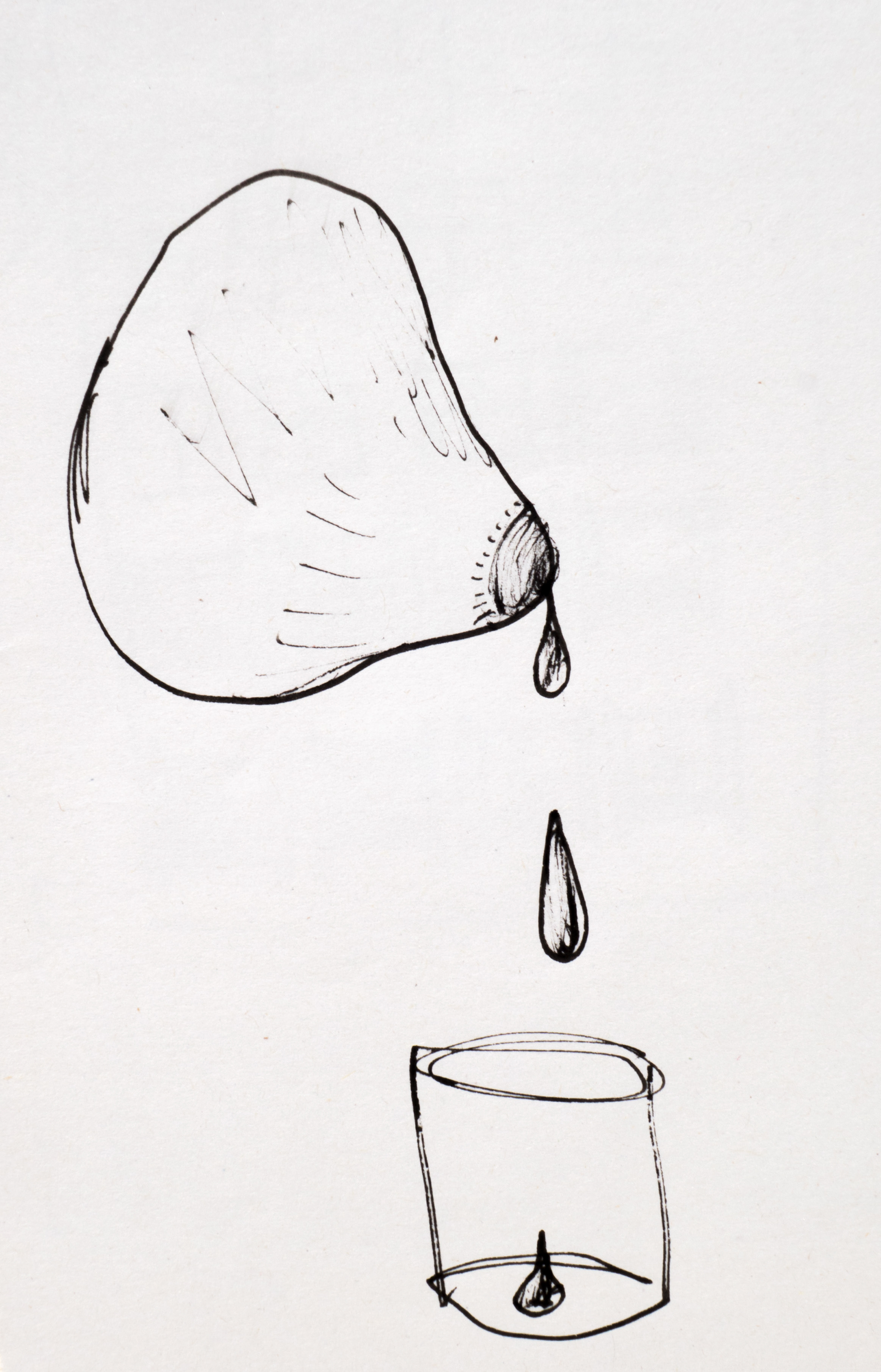 Petit Déjeuner 5