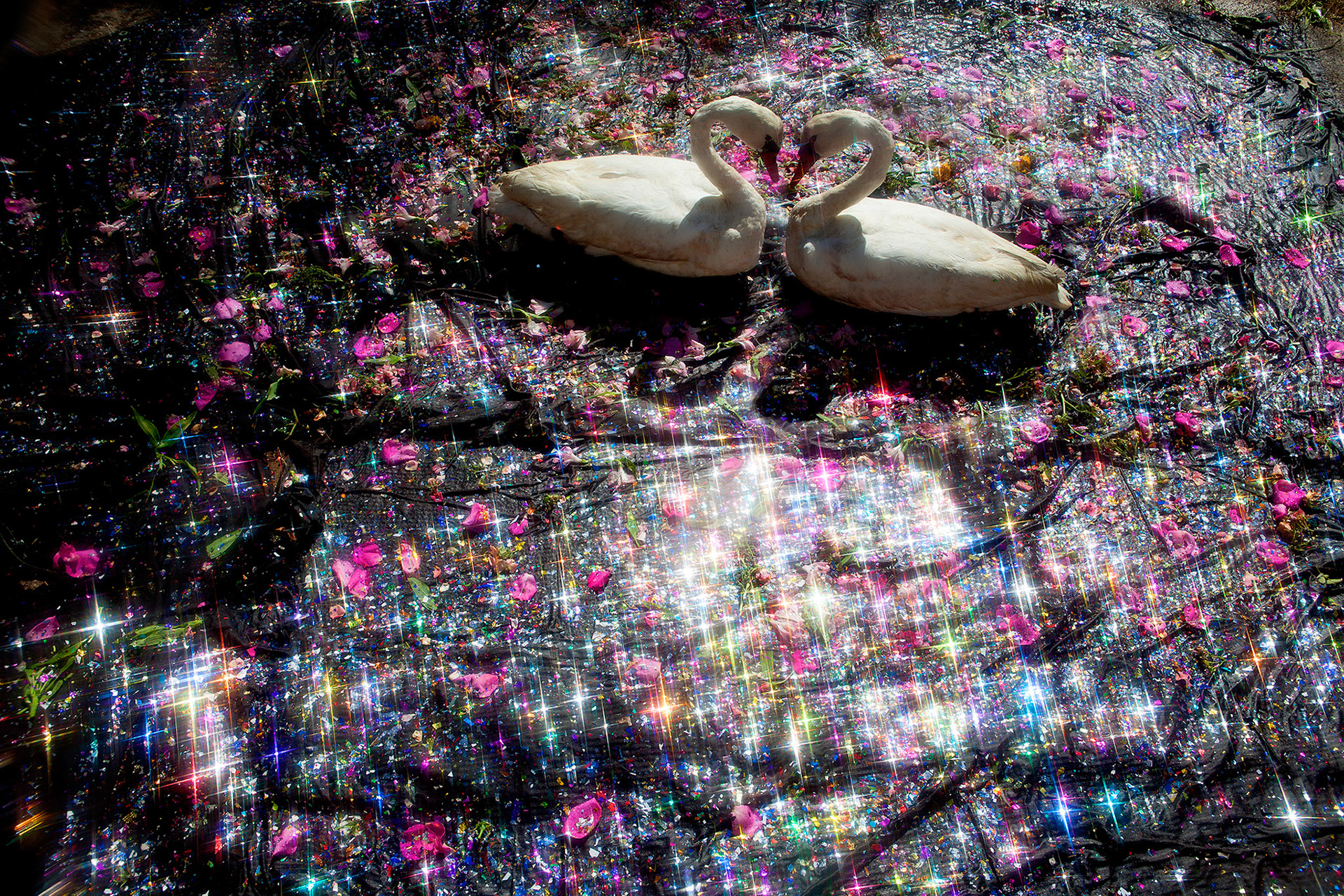 Jody Fausett / Atlanta, GA -- Adore -- 2018, Archival Pigment Print, Edition-1/3, 24x36” Print/Paper $2,500 / 24x36” Framed $2,500