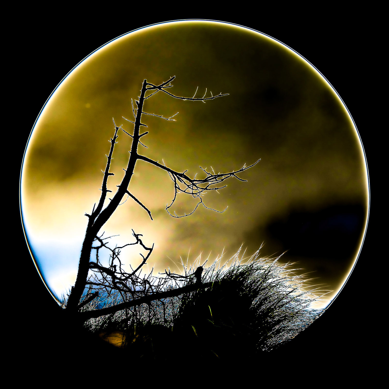 Colour Circle
