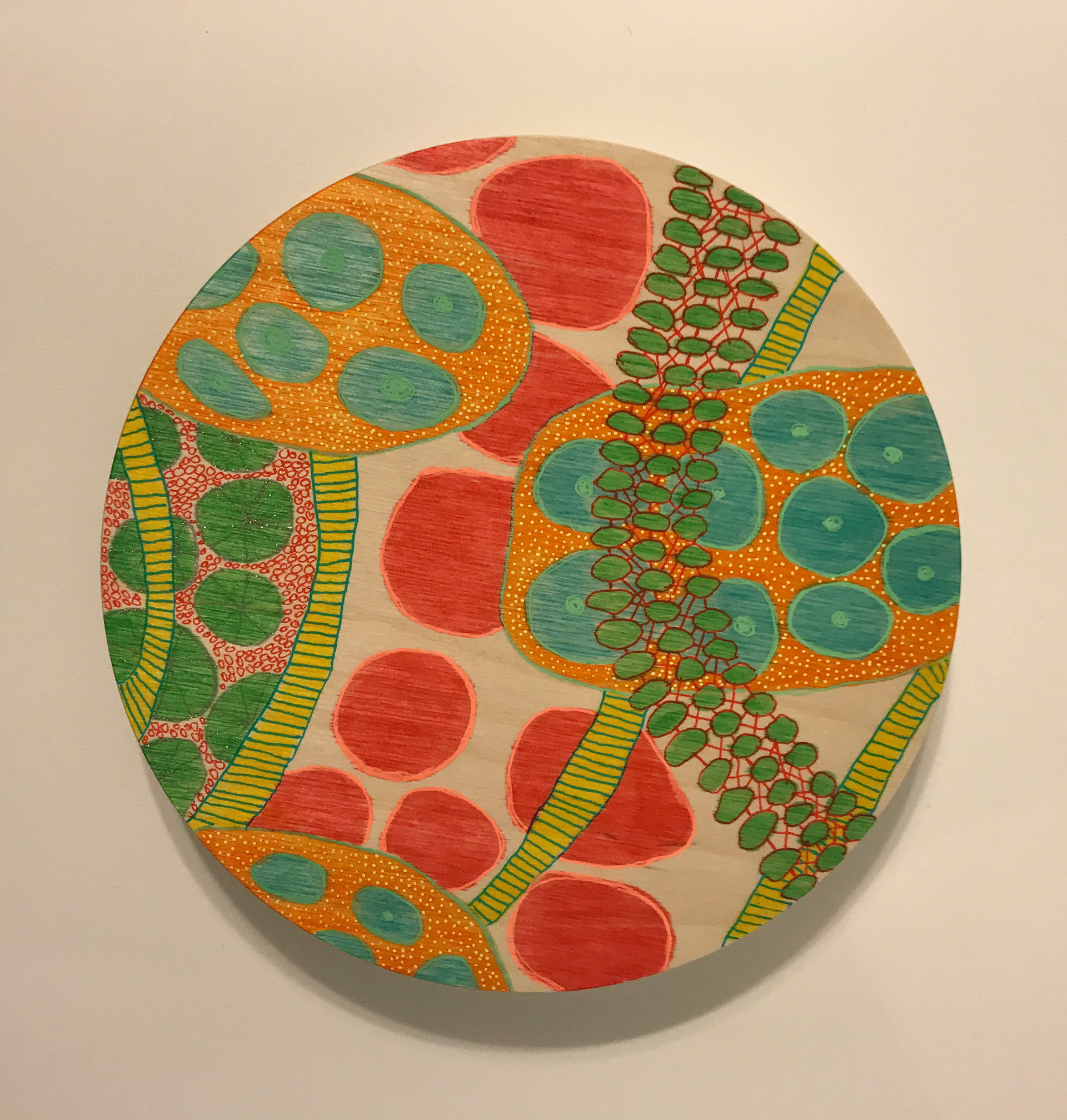 Petri #5, drawing materials, 8" circle