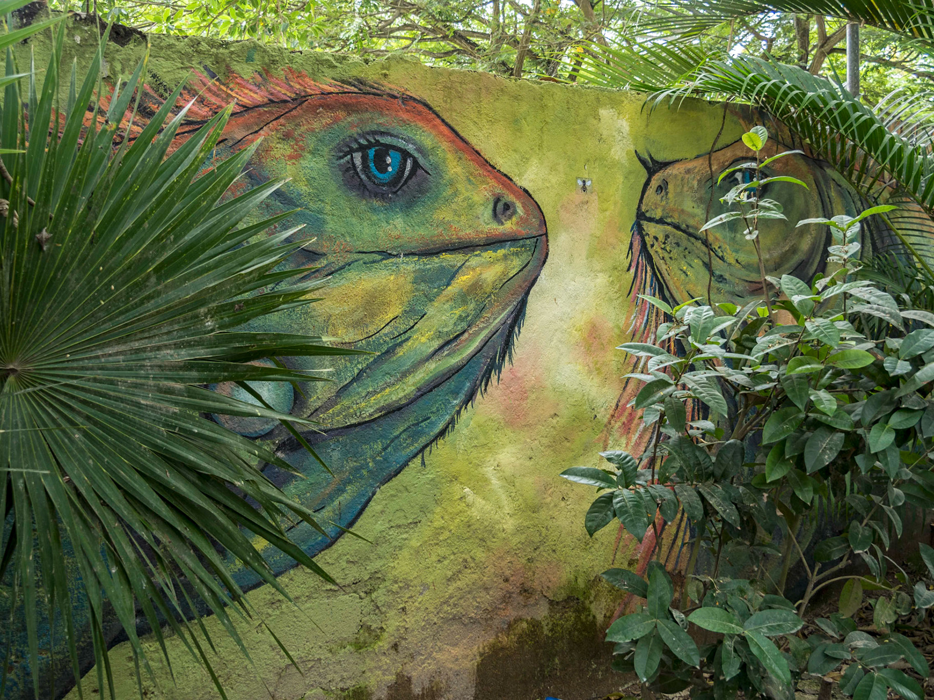 Sayulita, Mexico