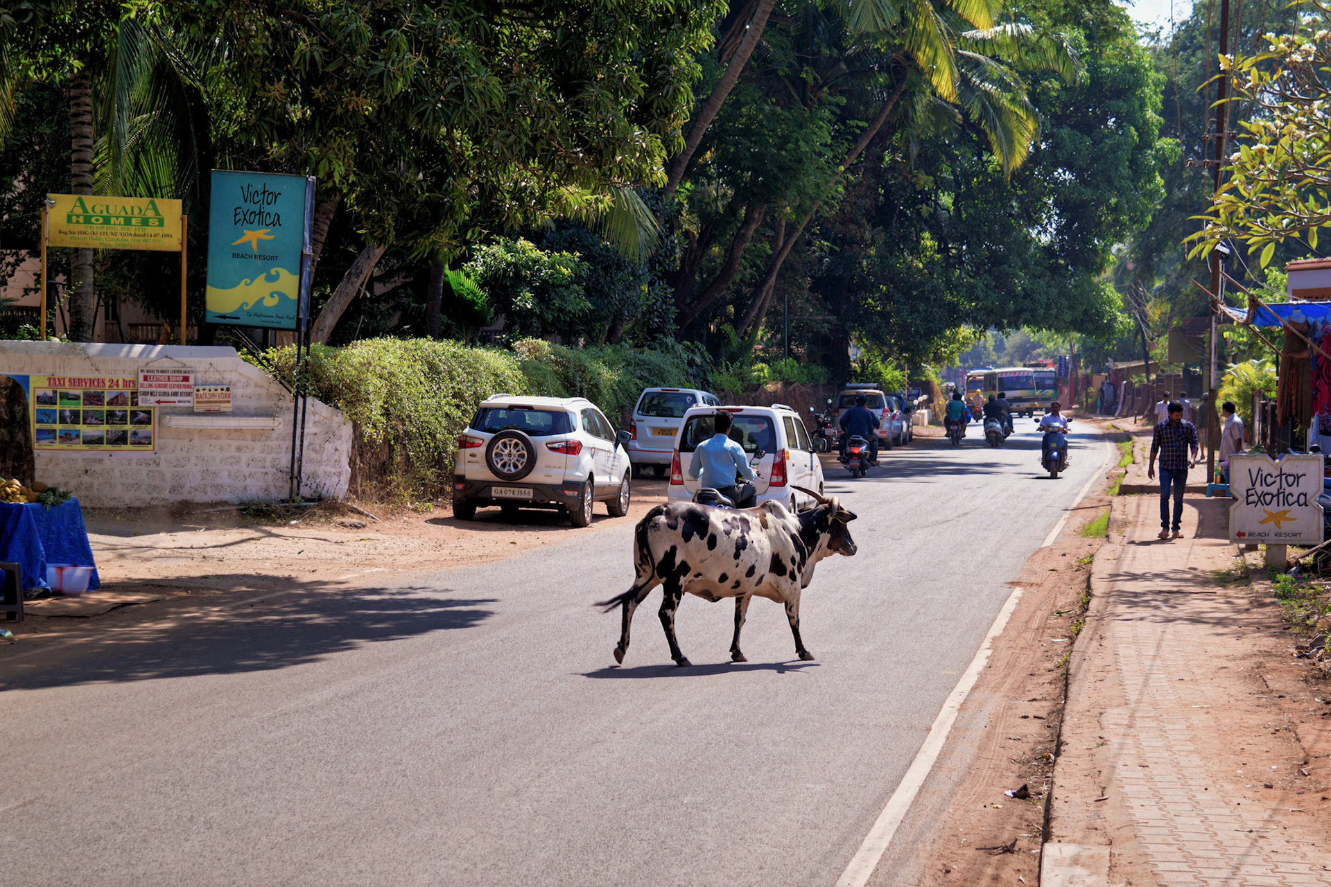 Goa, India