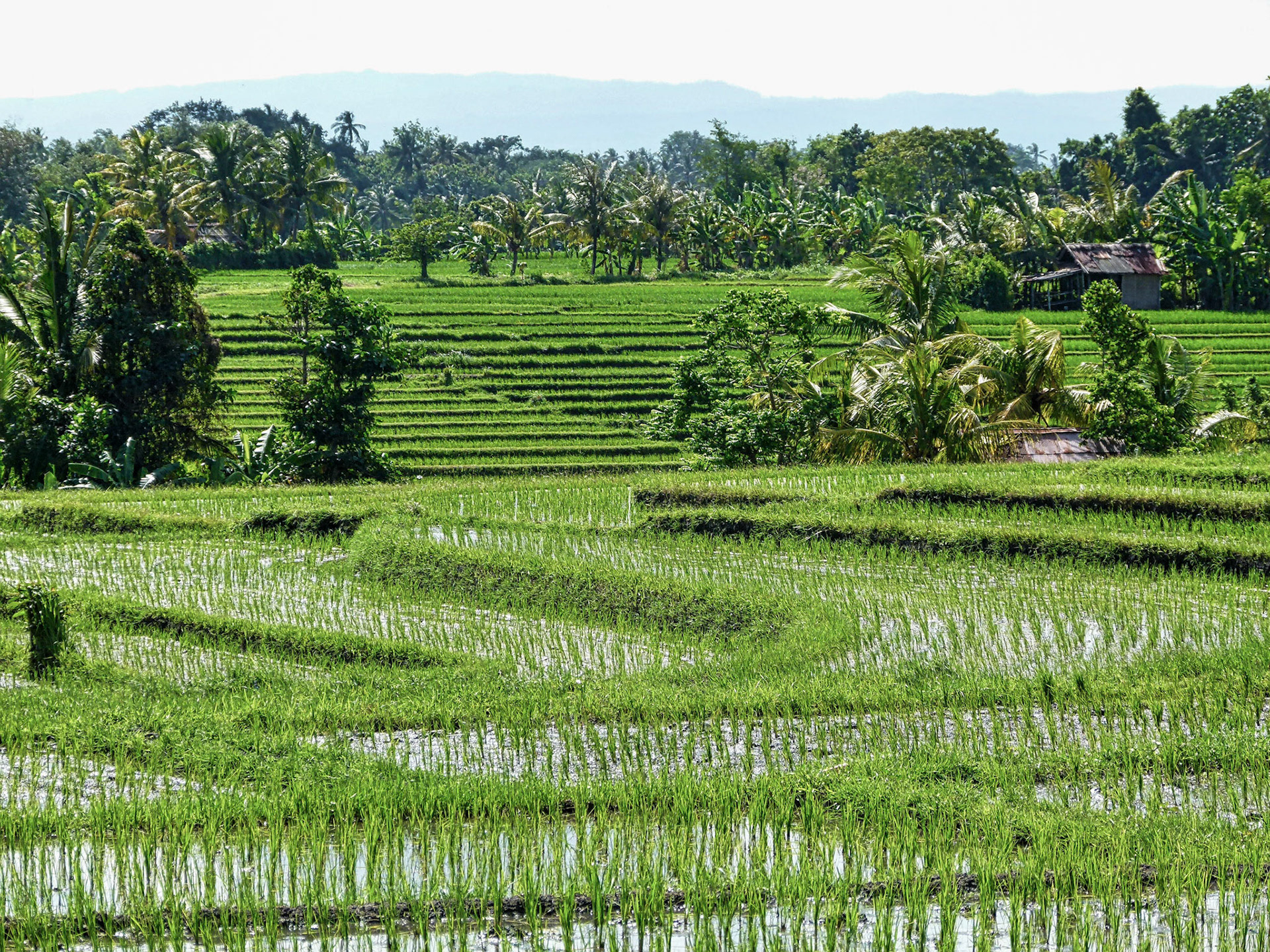 Bali, Indonesia