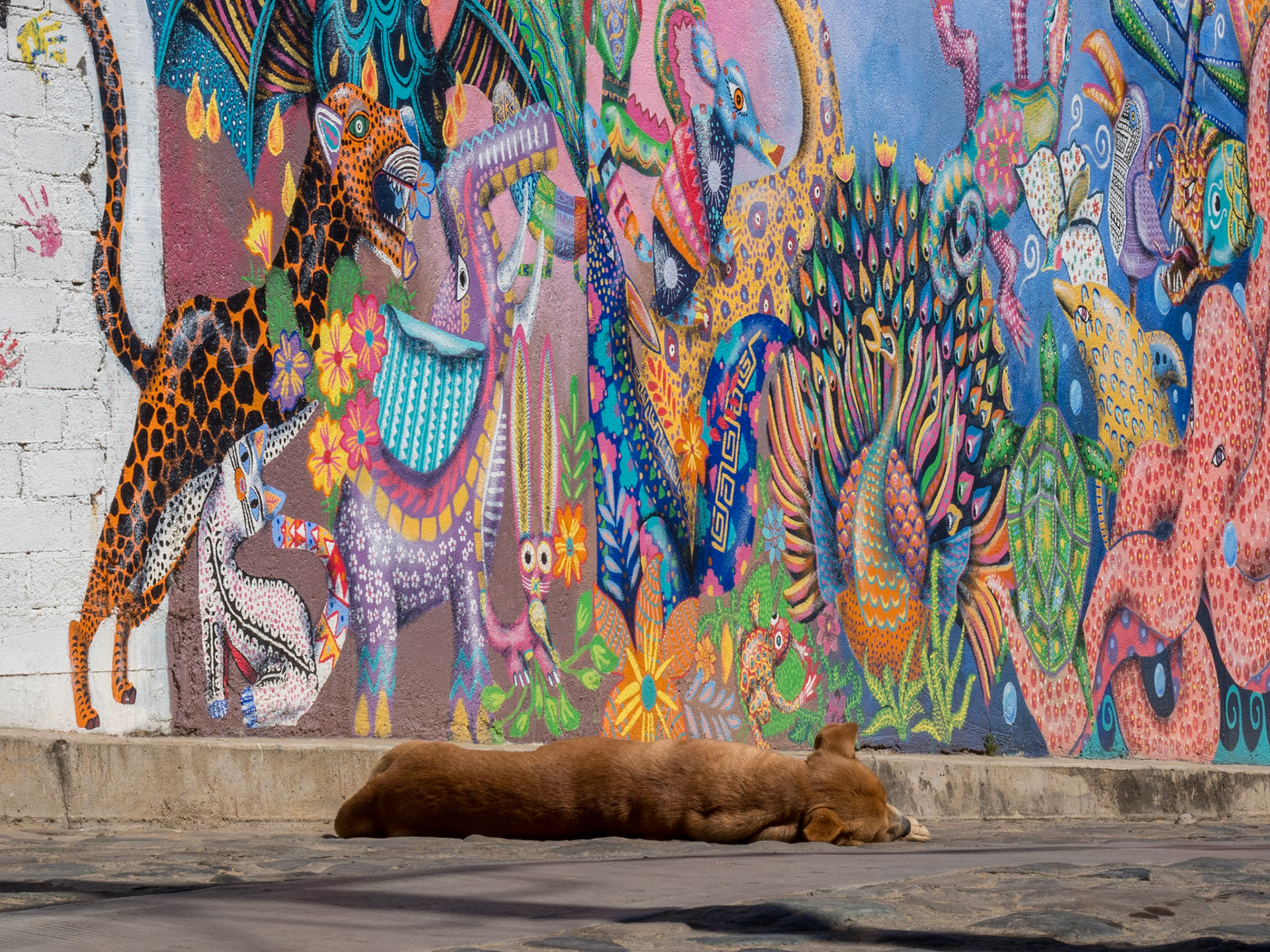 Oaxaca, Mexico
