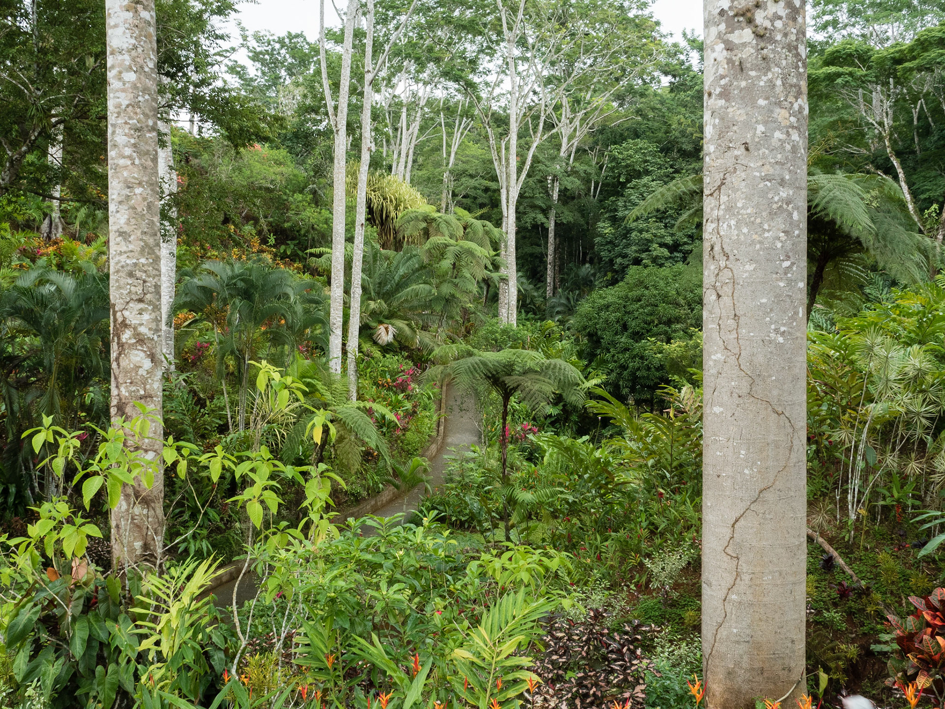 Costa Rica