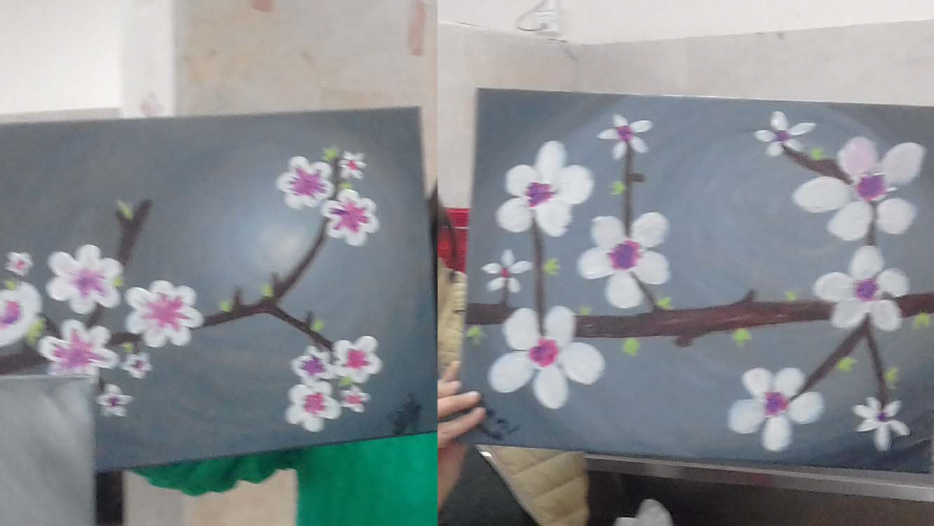 Flower Blossoms